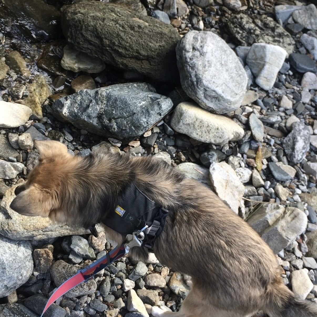 지구와 같이 지낸지 4년이 지났어요.