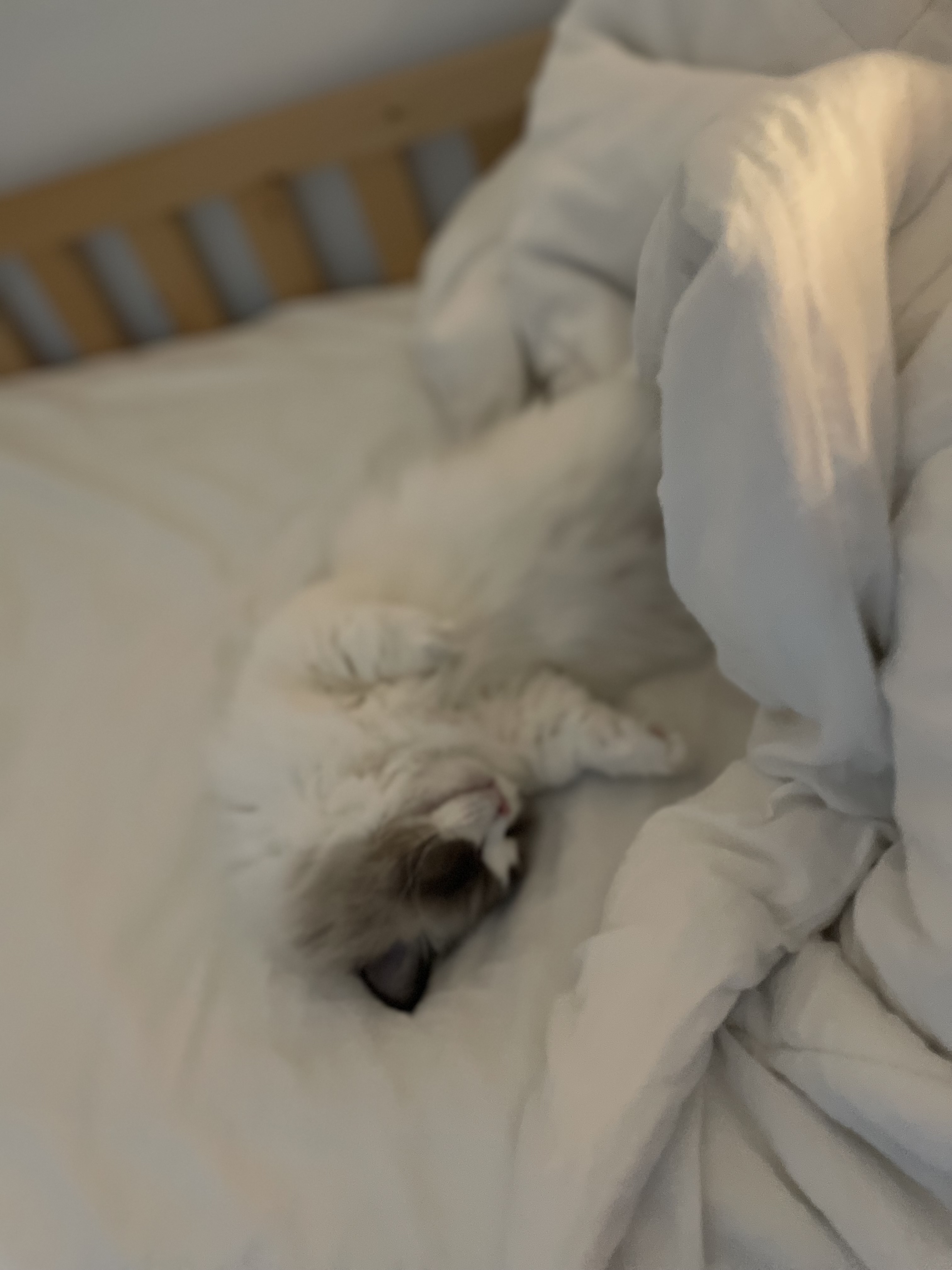 춘식(구 마루미) 1개월차