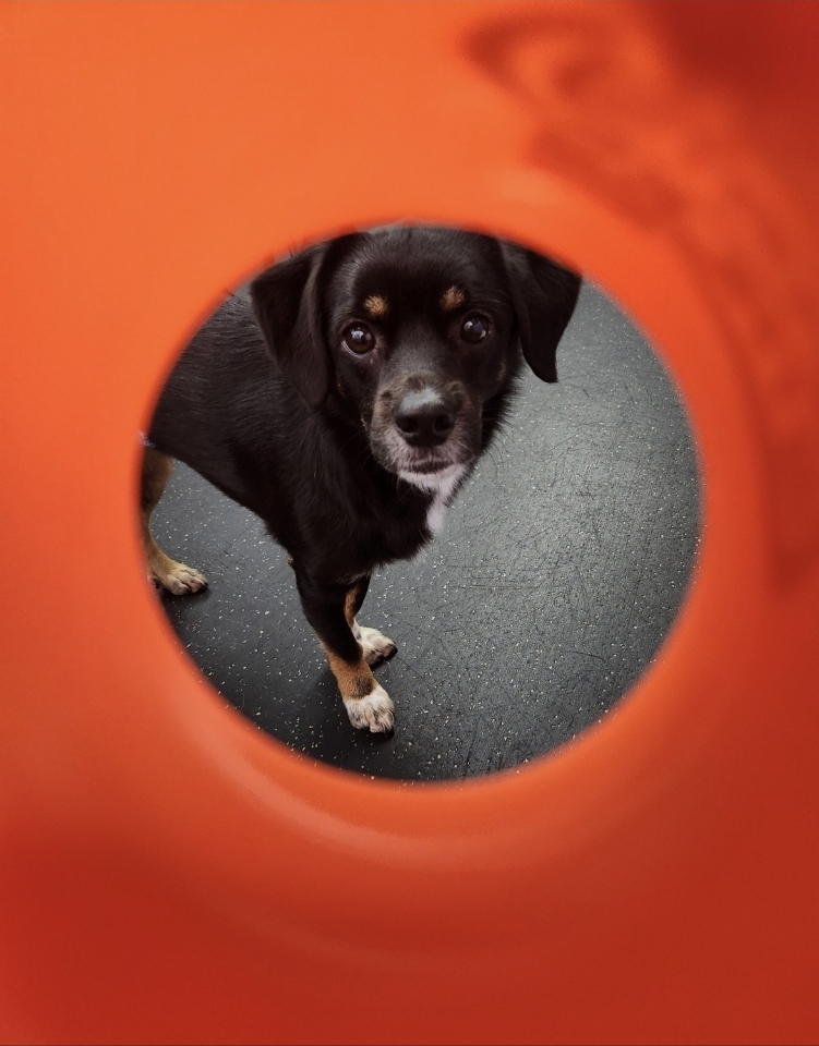 두양이 잘지내고 있습니다~