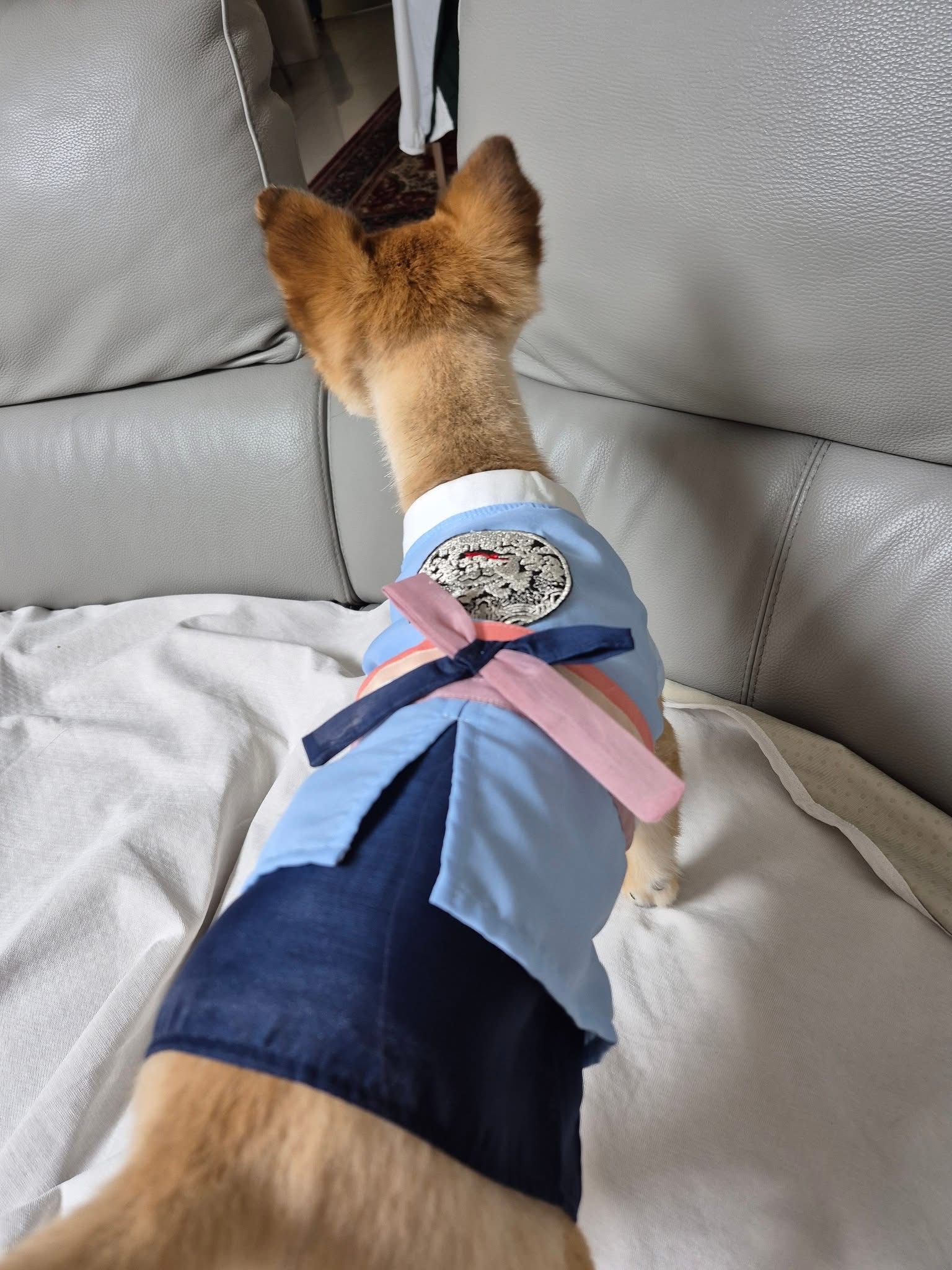 [해외입양] 캐나다 토론토에서 전해온 '달님이' 소식💌