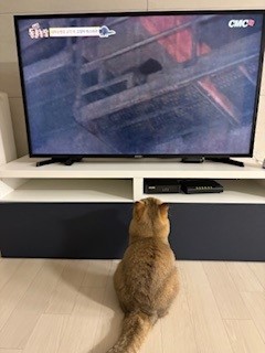 두두 (구 삼월이) 한달 후기 🧡