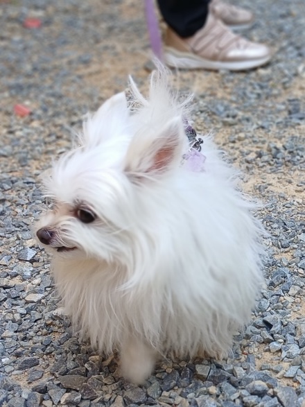 아름이 (아산/ 나희)