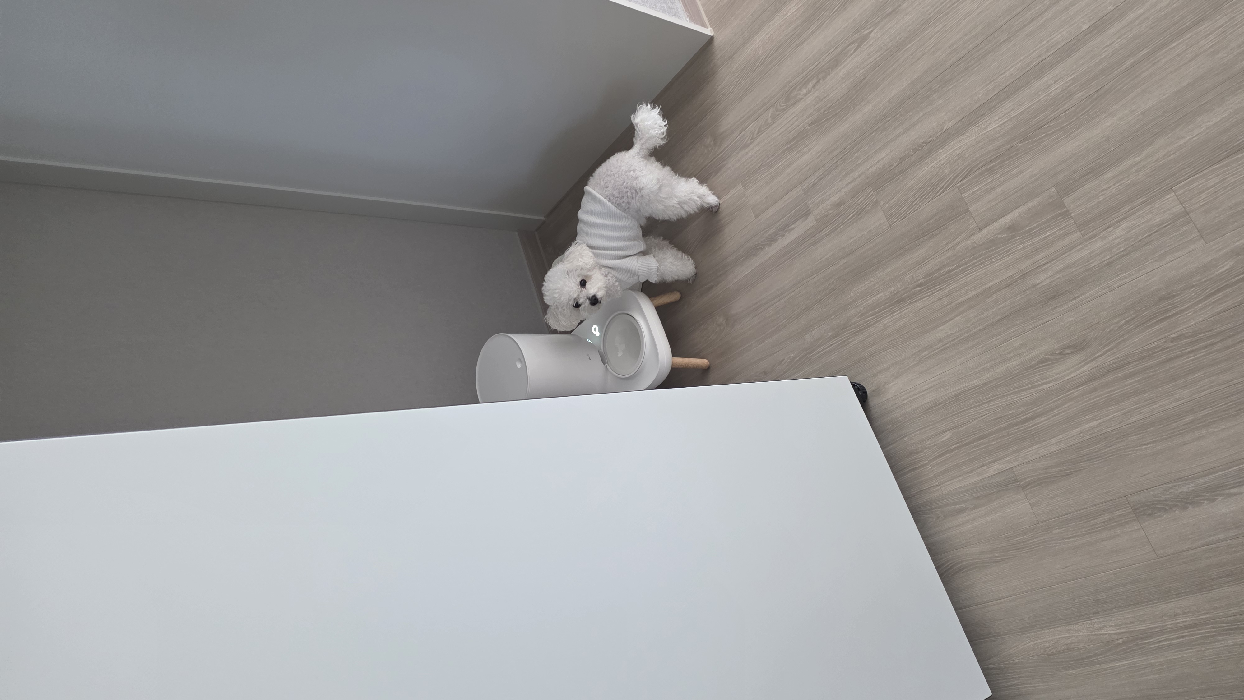 열무(구 아솜이)의 2년 3개월차 이야기