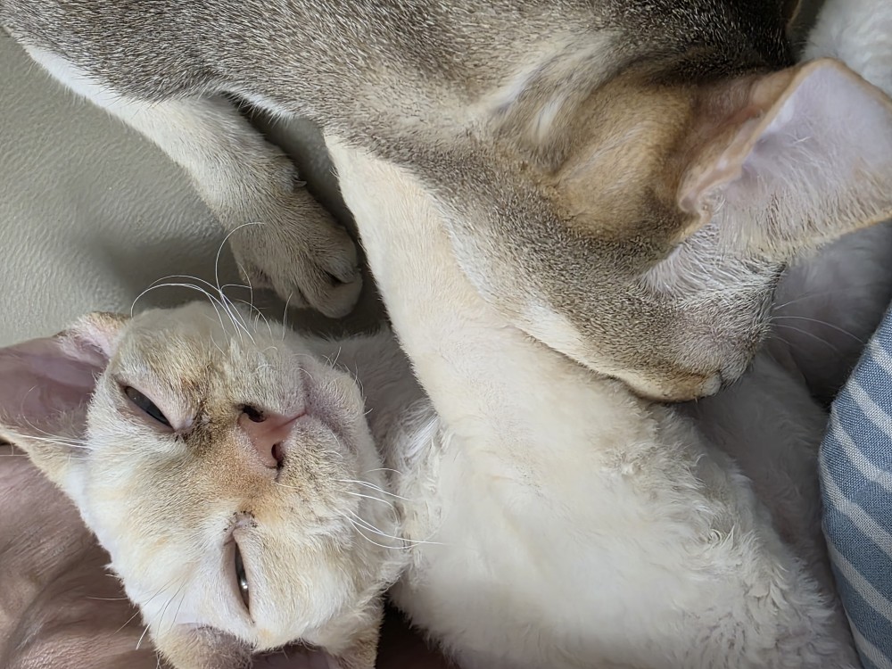 단하 3개월 간의 기록
