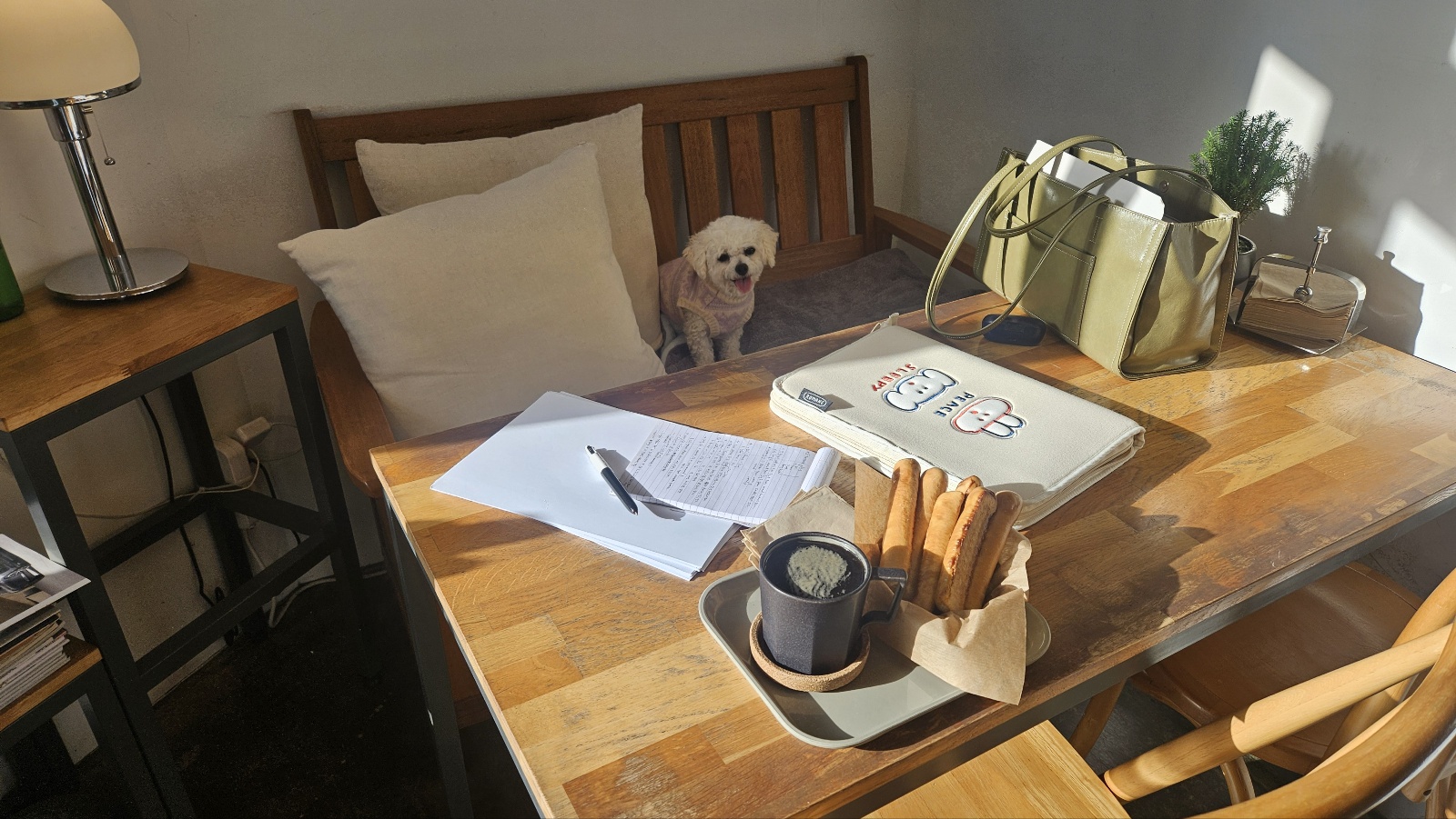 세나 임보 일주일차 후기