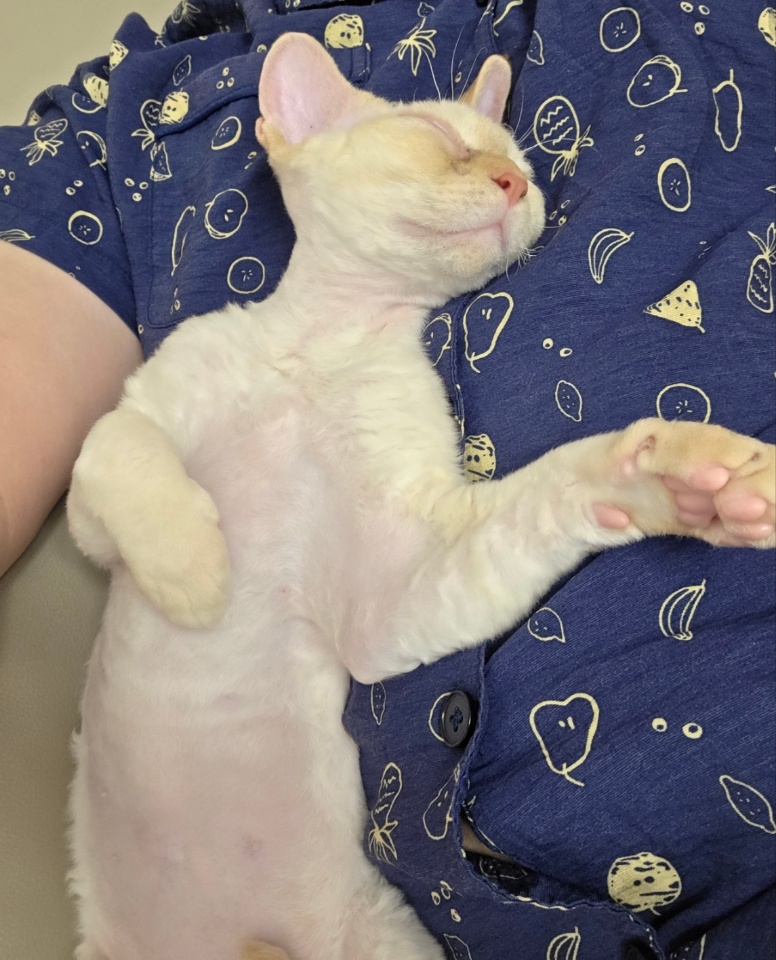 단하 3개월 간의 기록