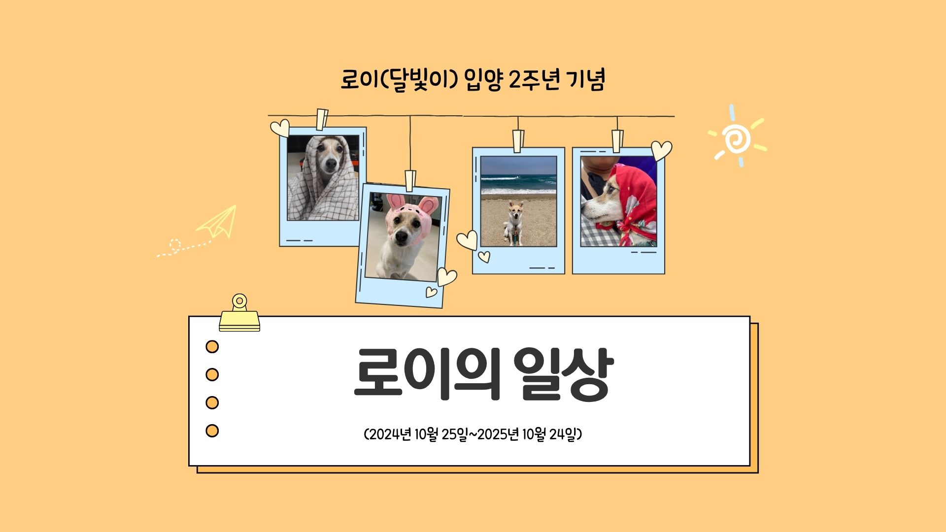 로이(달빛이) 입양 2년 이야기^^