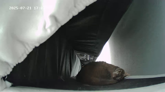 마동이(현 후추)의 일주일 이야기