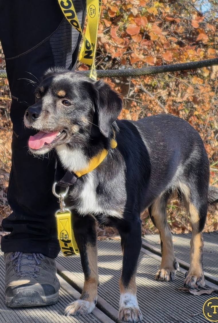 두양이 잘지내고 있습니다~