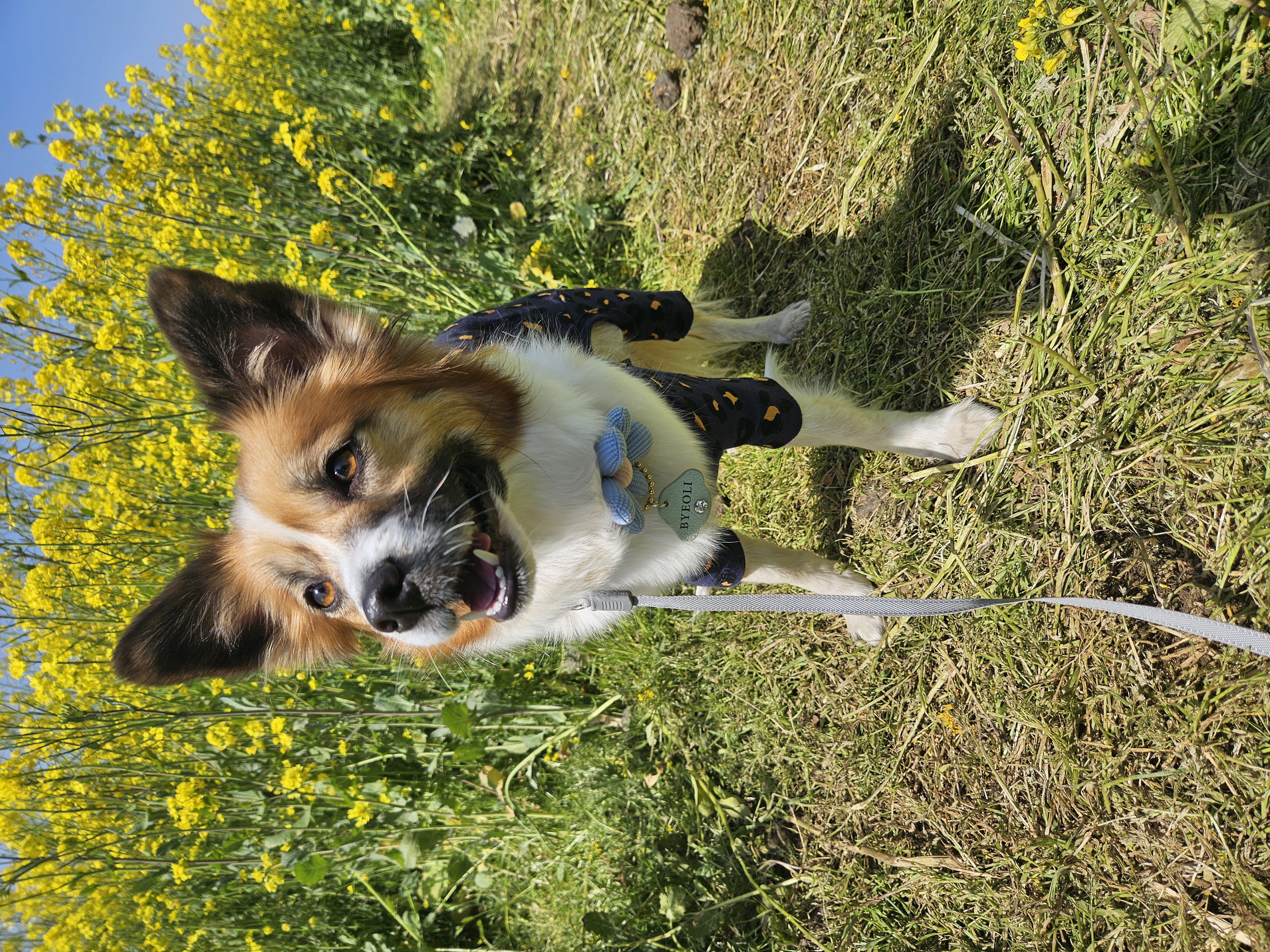 벼리(은오)5년차입니다~♡