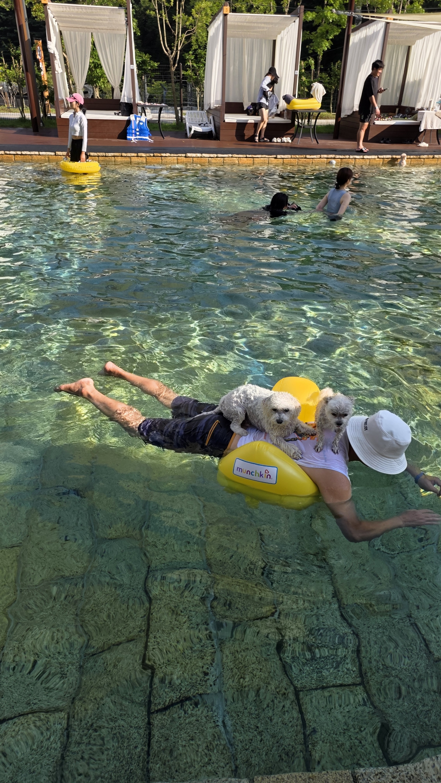 샤넬, 볼보 잘지내고 있어요~ ^^