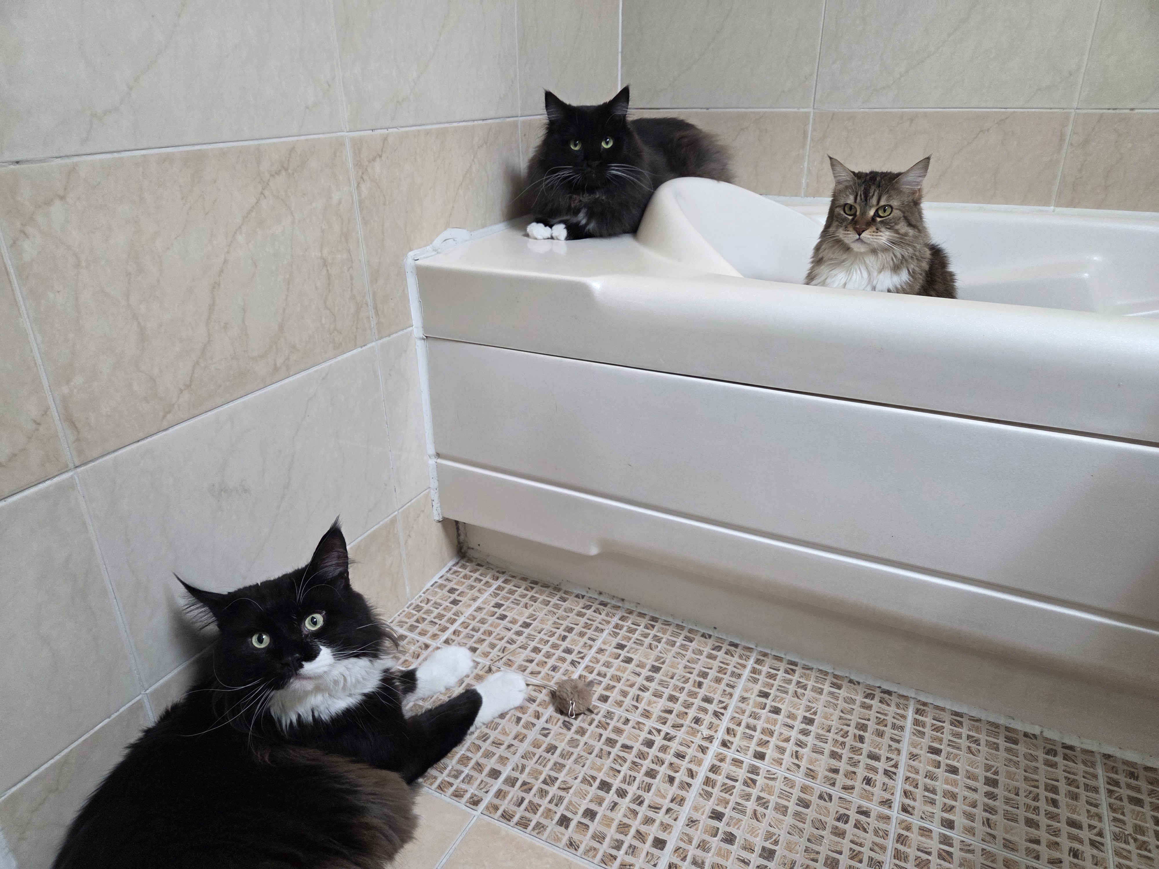 산이(인쿤이)와의 1년