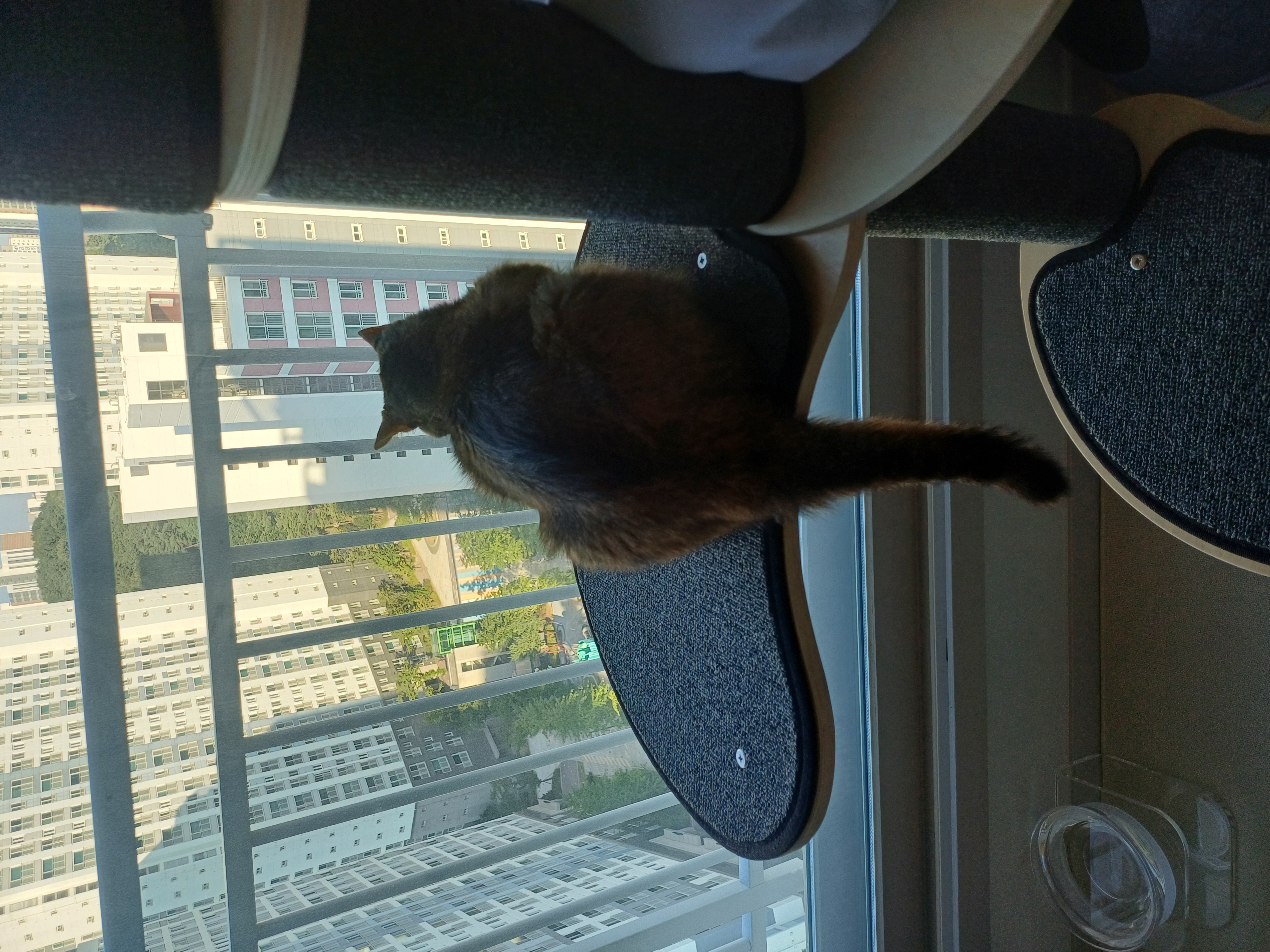 (현)후추 (구)마동이 한달 됐어요!