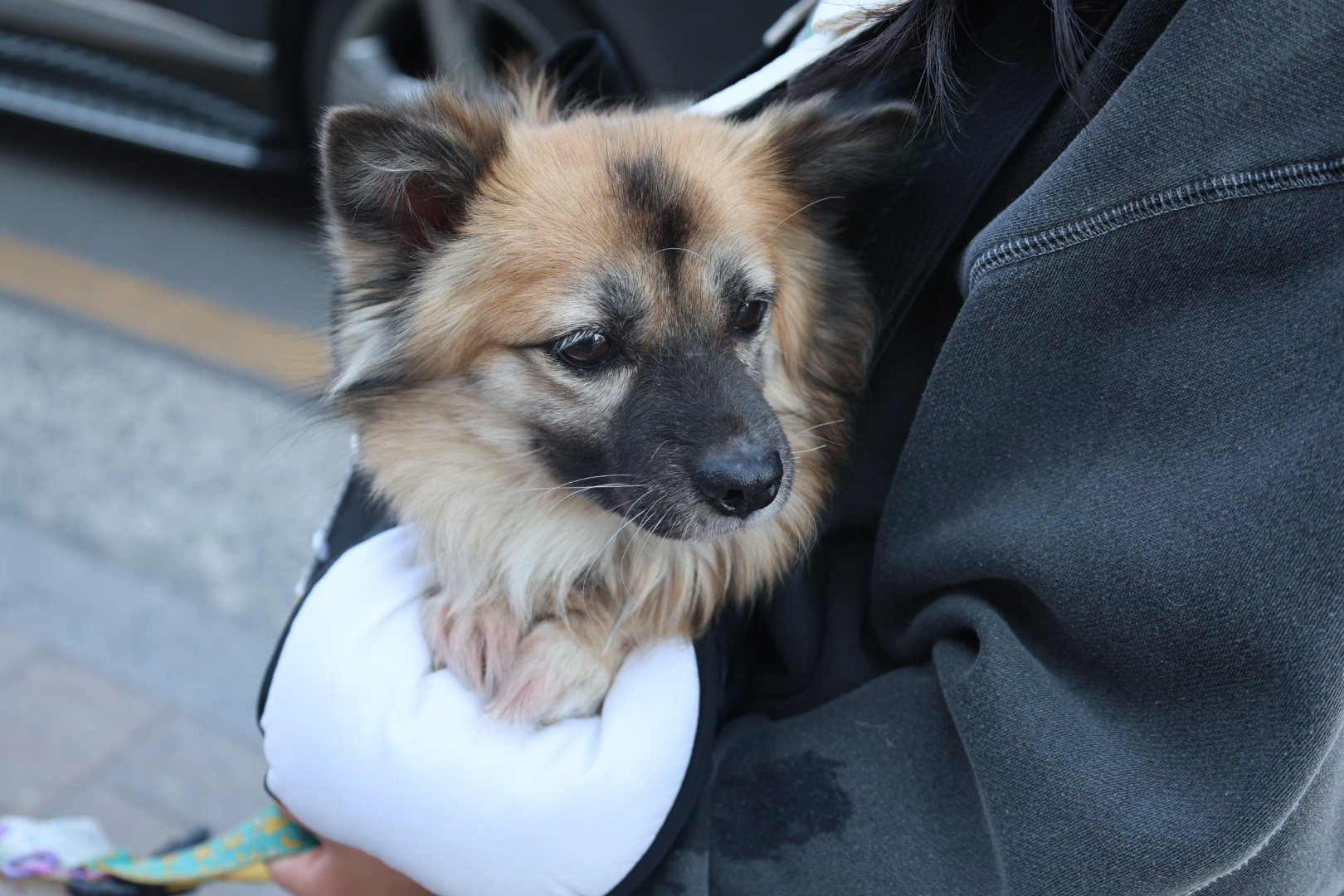 반달이 케일이 경주여행