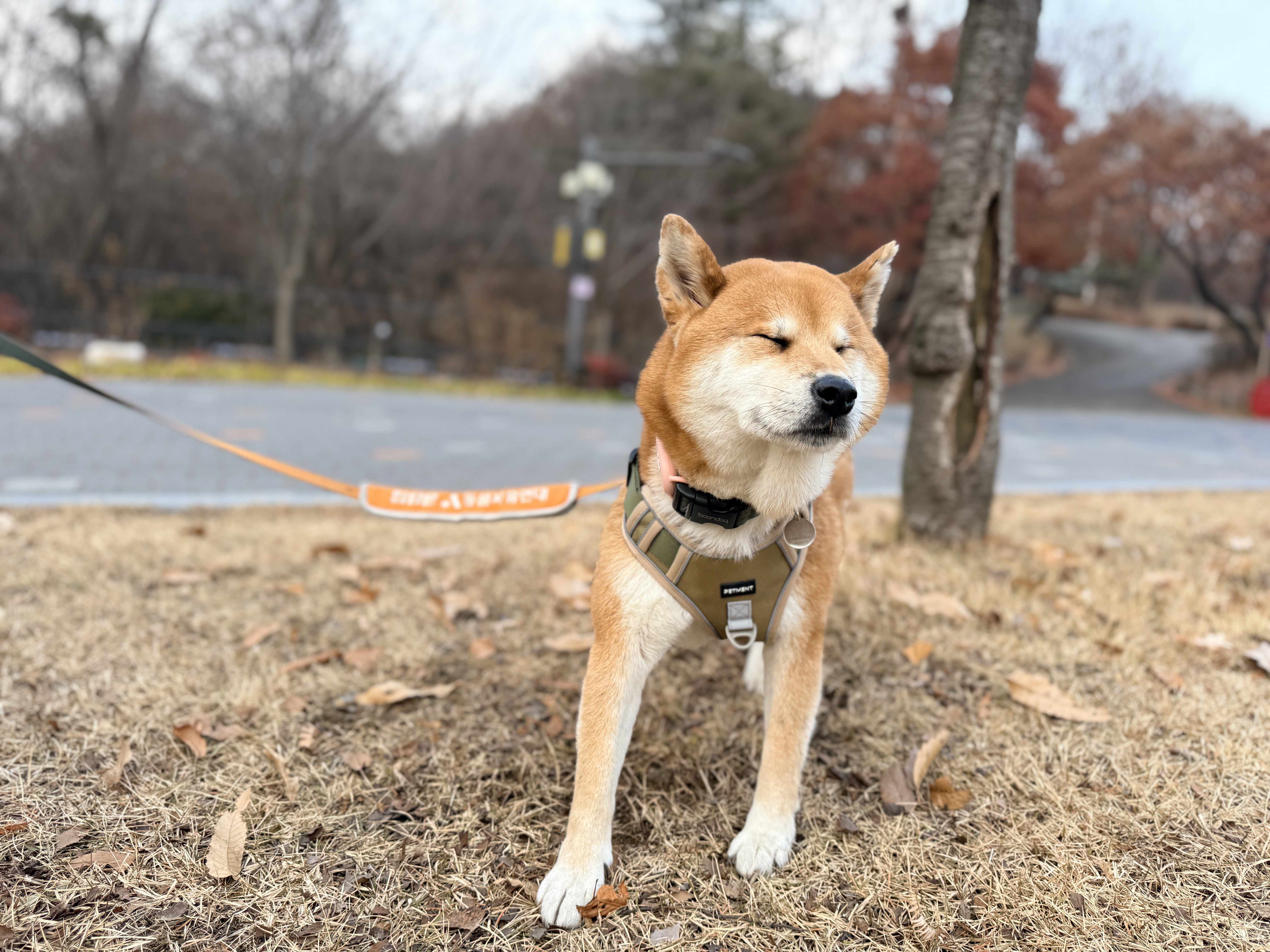 동배(쫑쫑이)와 어느덧 5개월을 함께 했습니다!