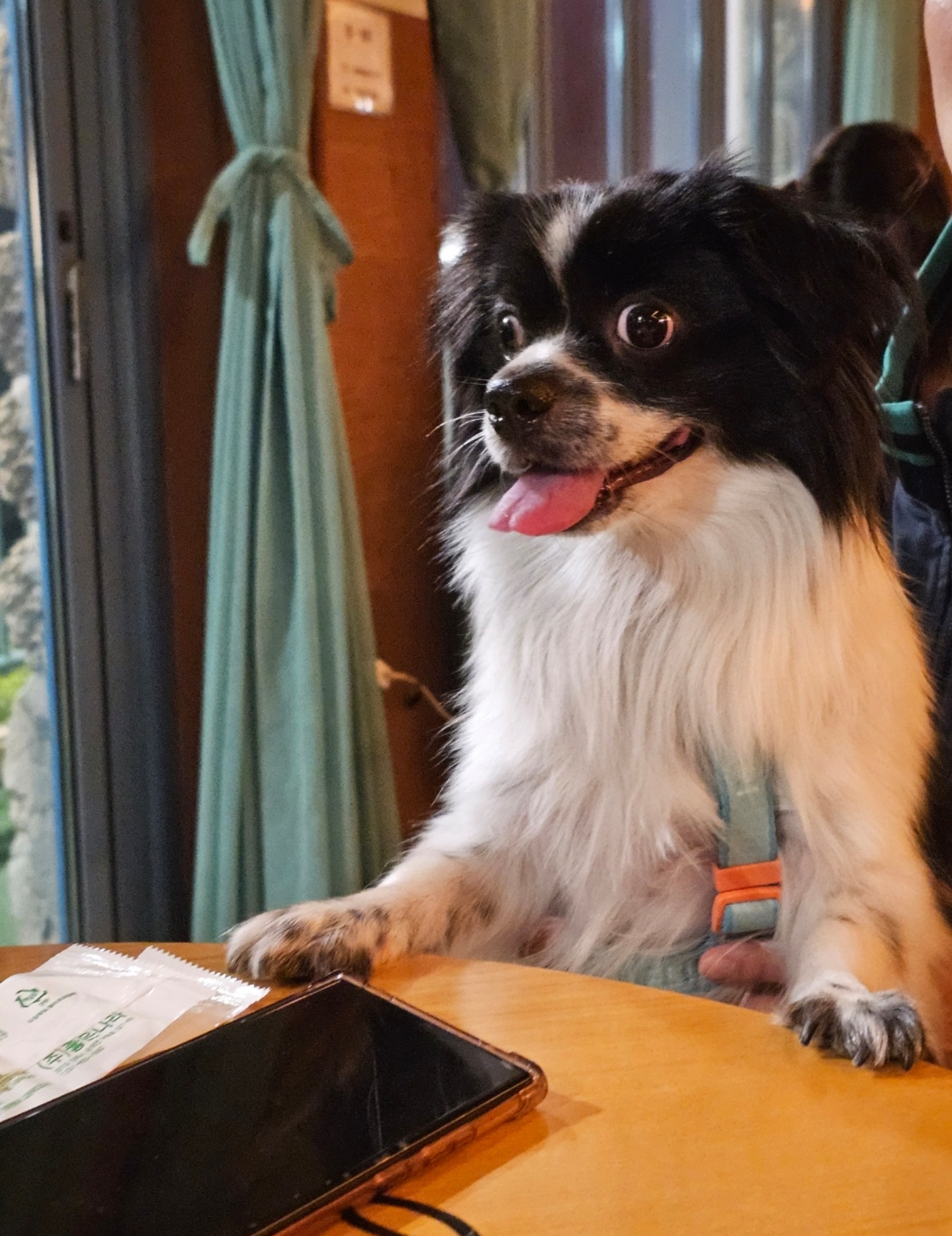 자이와 함께한 4년