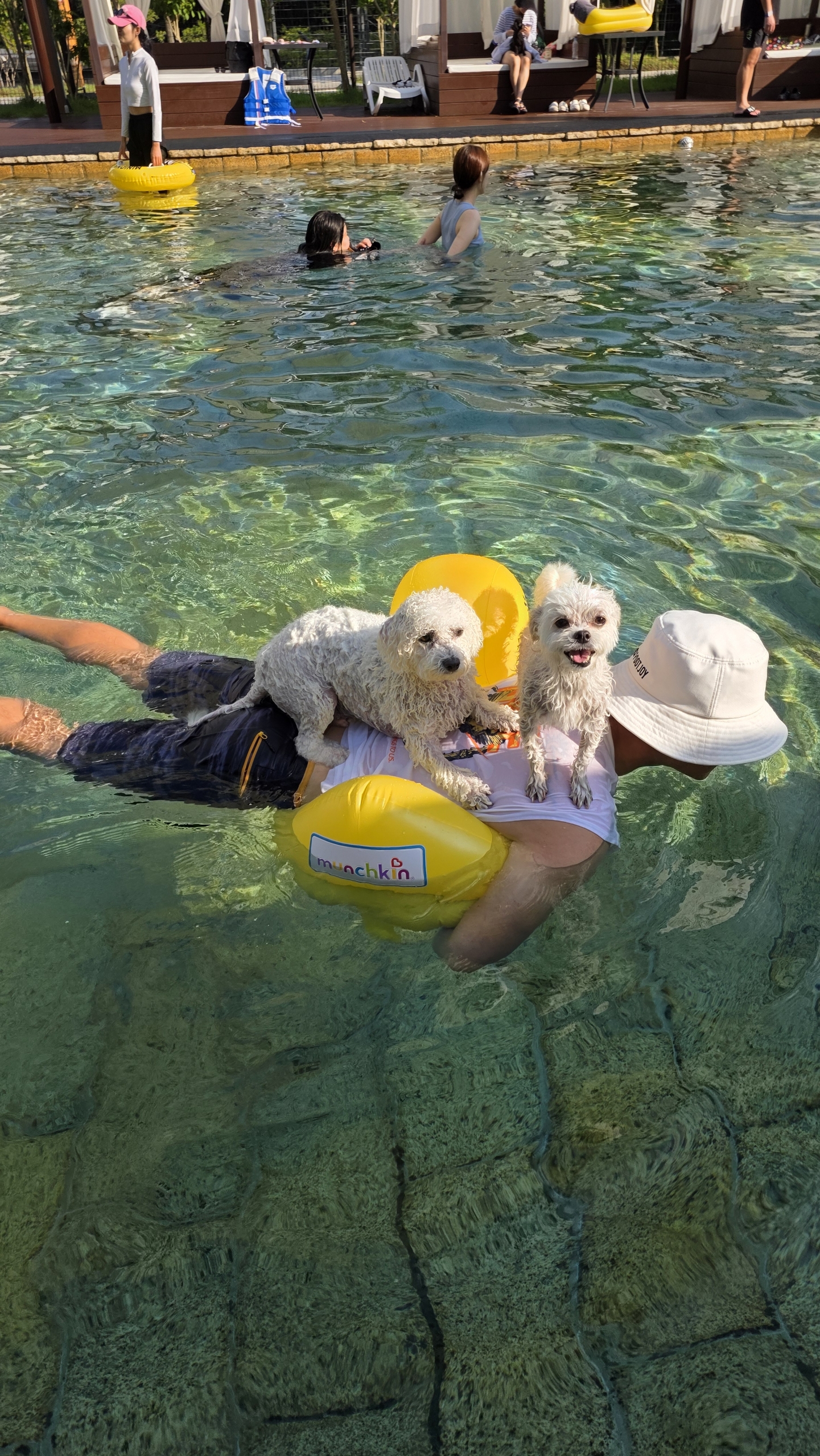 샤넬, 볼보 잘지내고 있어요~ ^^