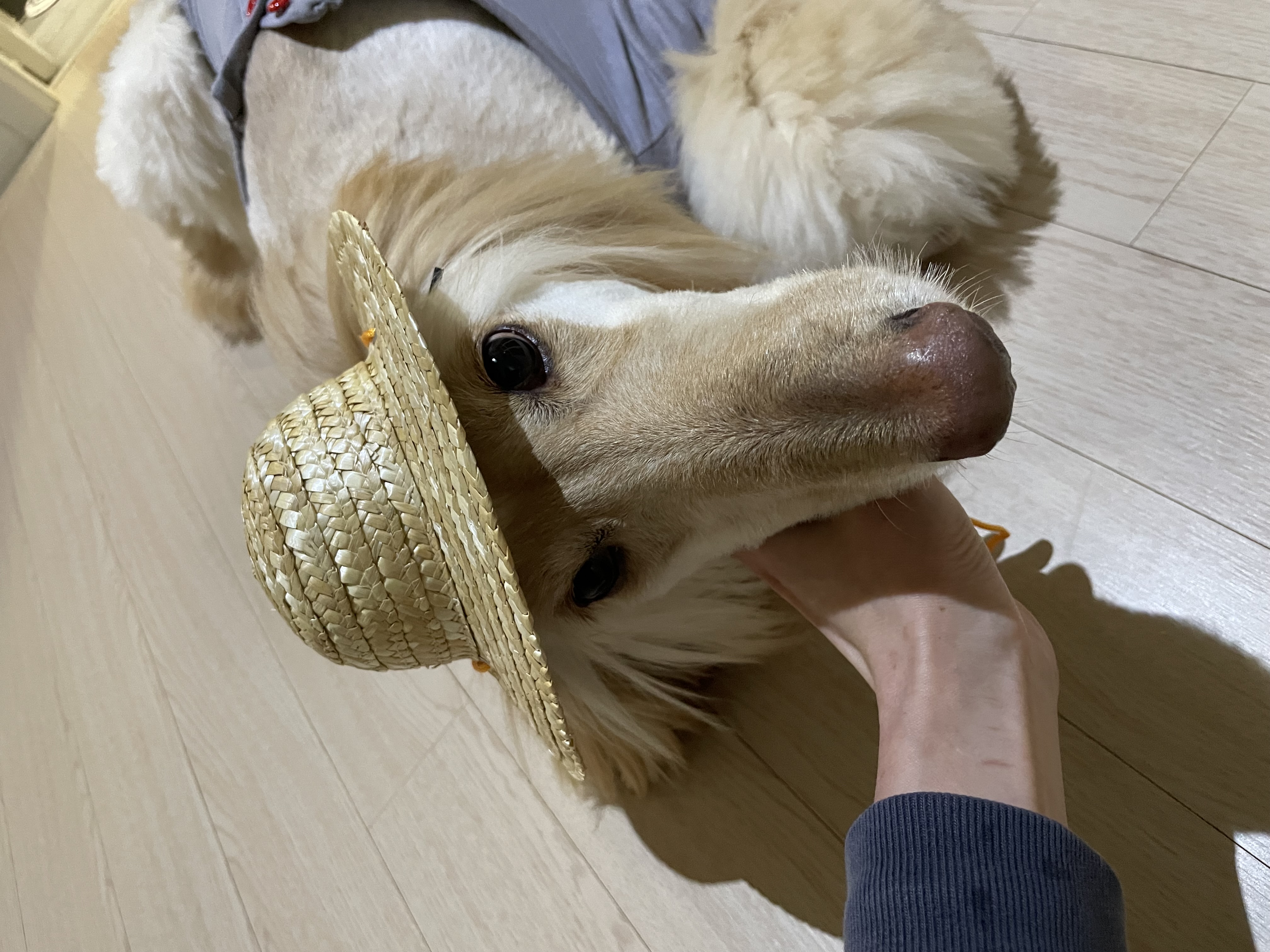 라나 일년 후 이야기