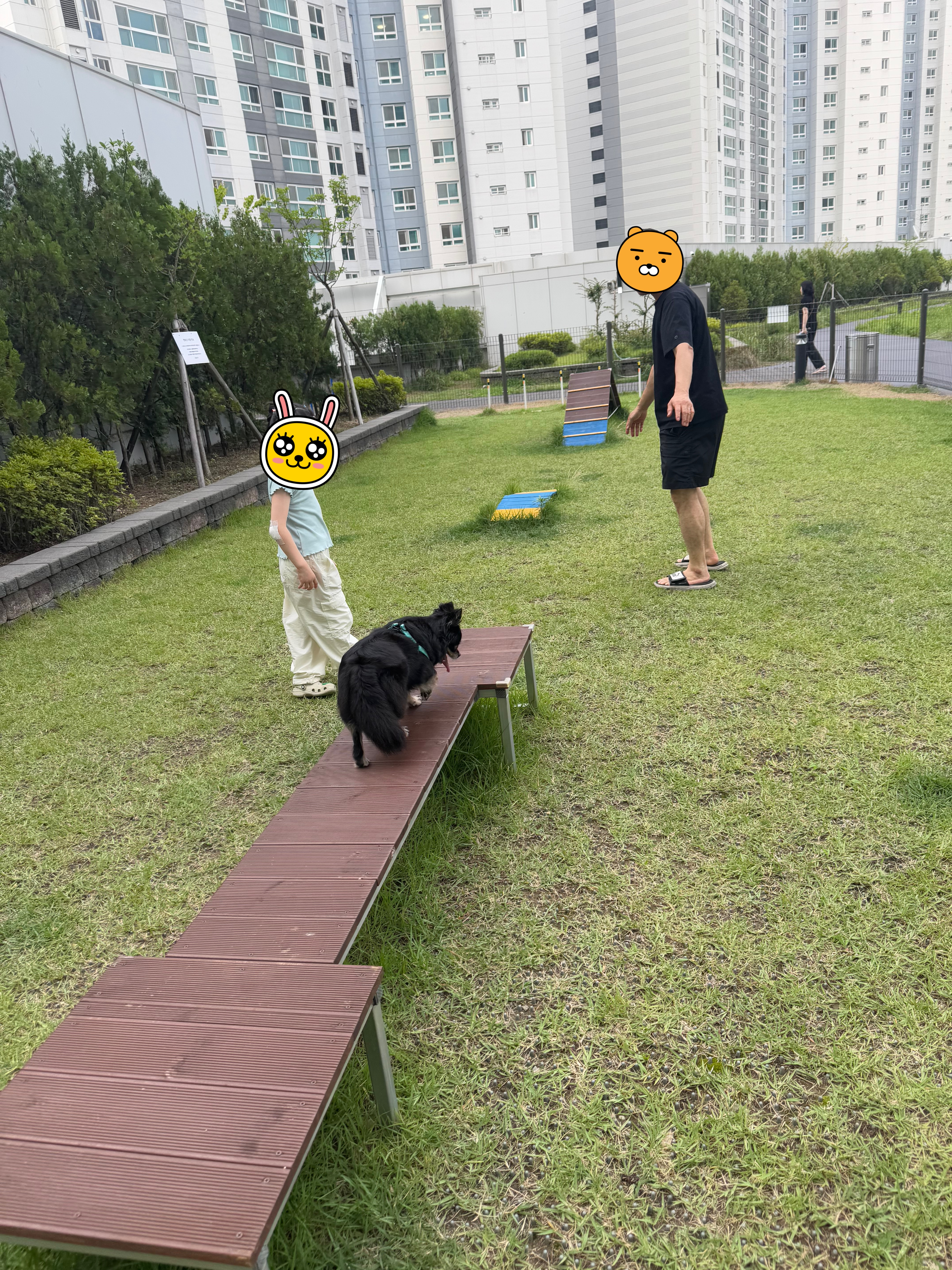 랩몬 임보 한달차 소식입니당!^^