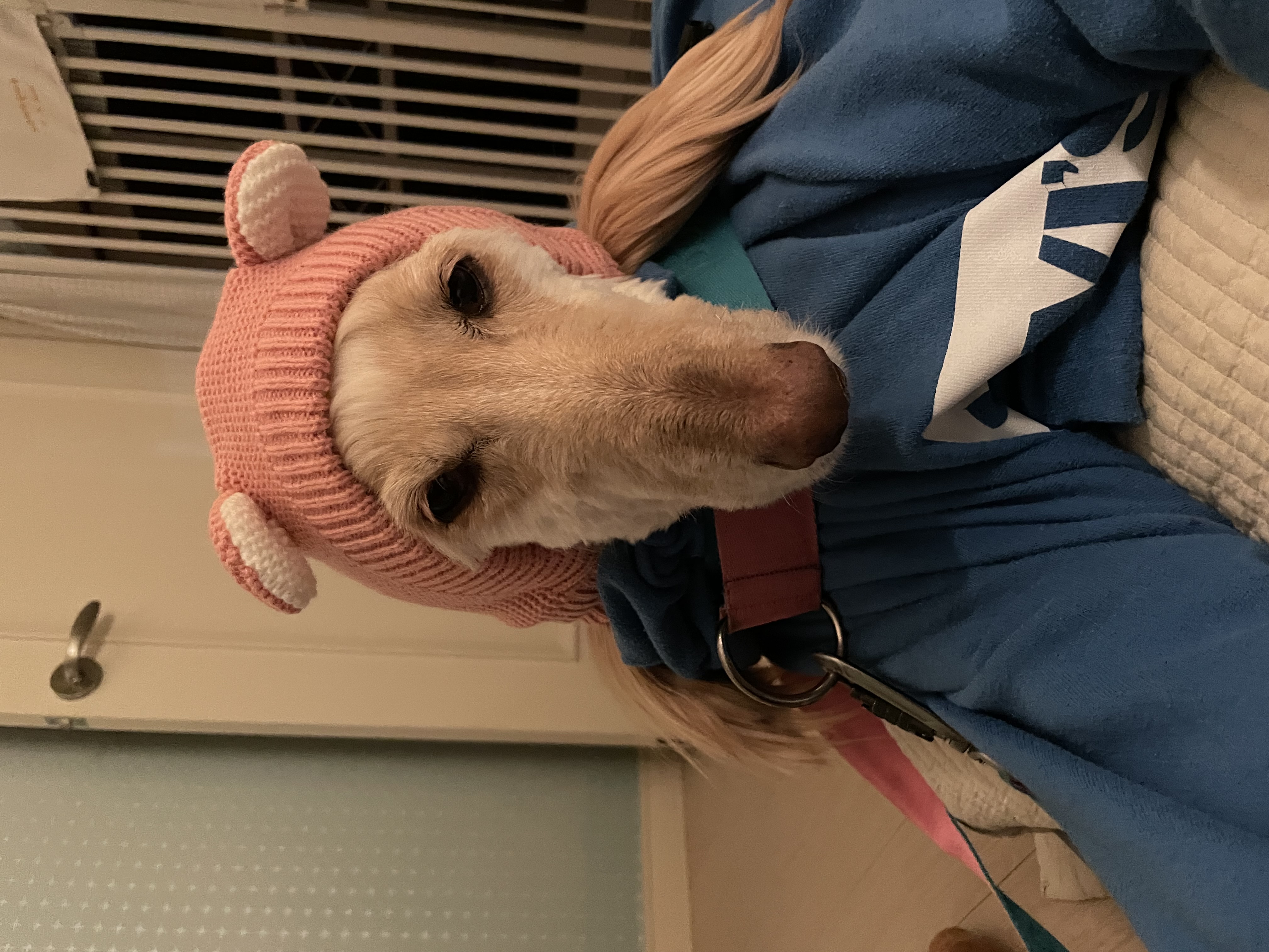 라나 일년 후 이야기