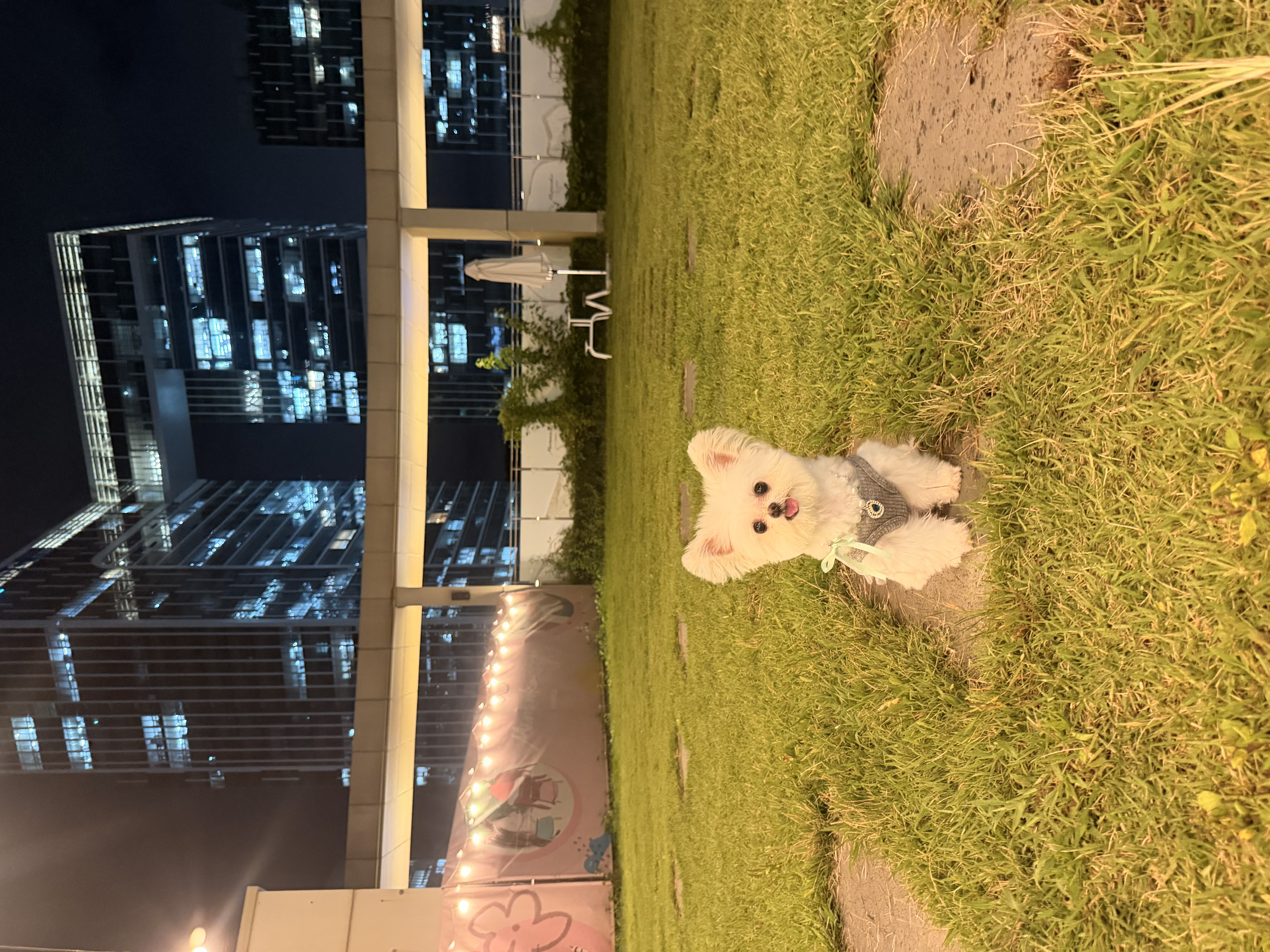 아산 가희->나엘 입양 3주년