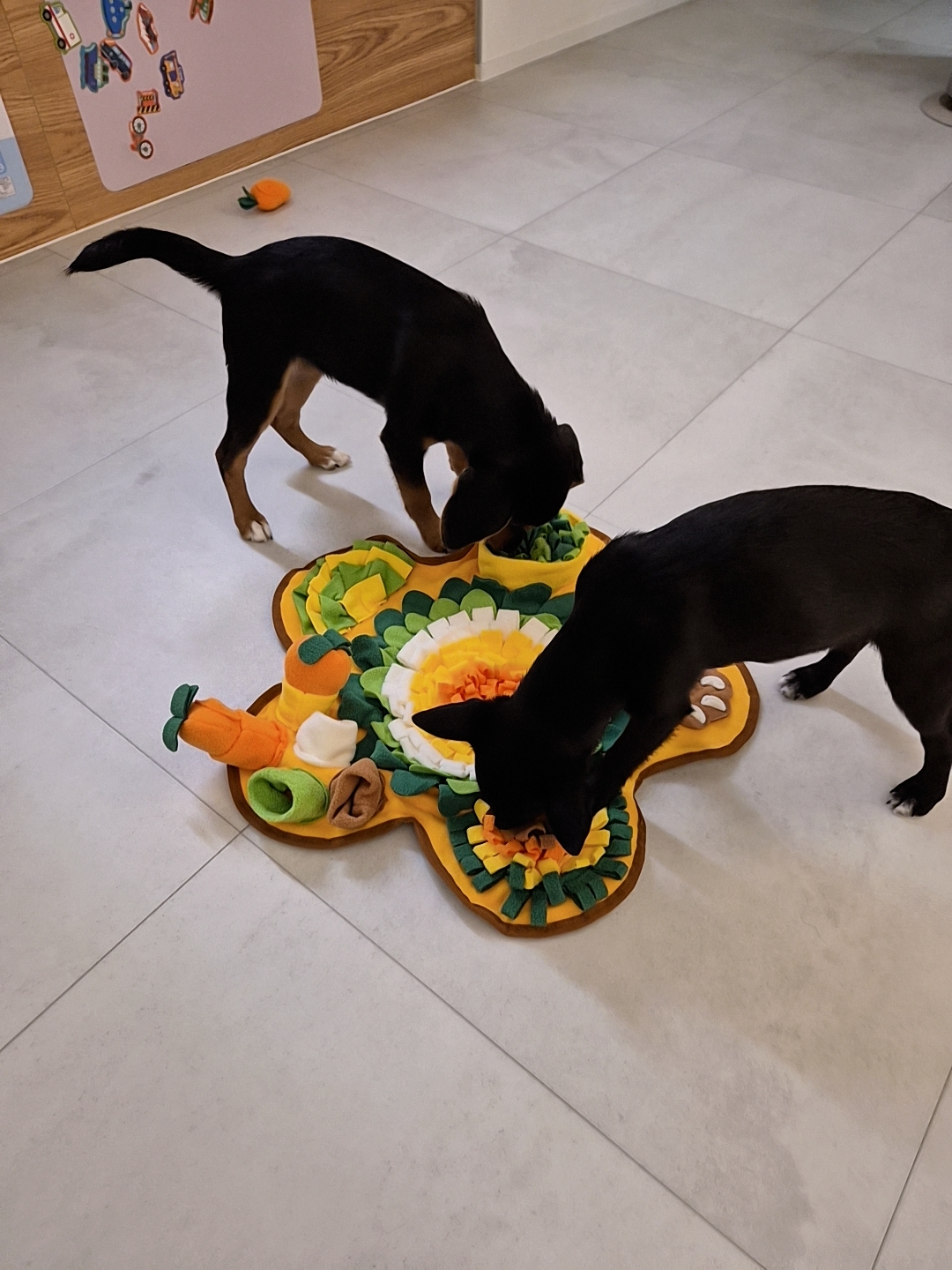 초코 쿠키 한달 이야기(두두 지지)