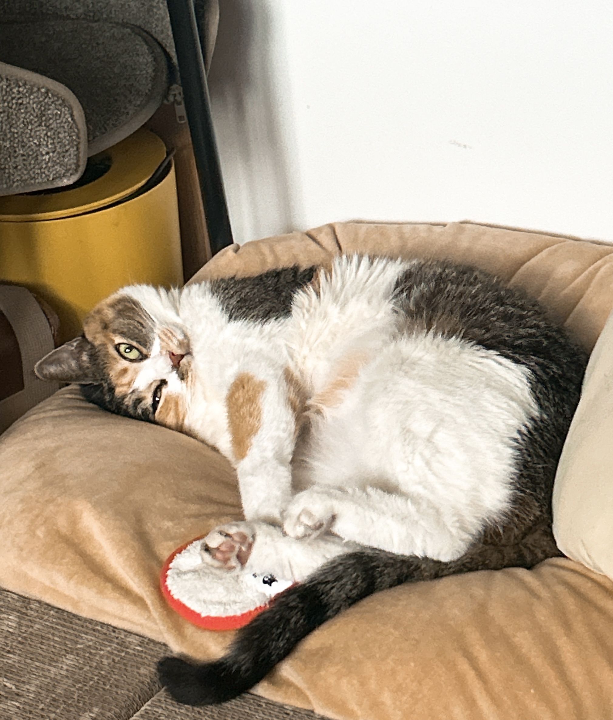 샹떼와 두 번째 여름을 나고 있습니다