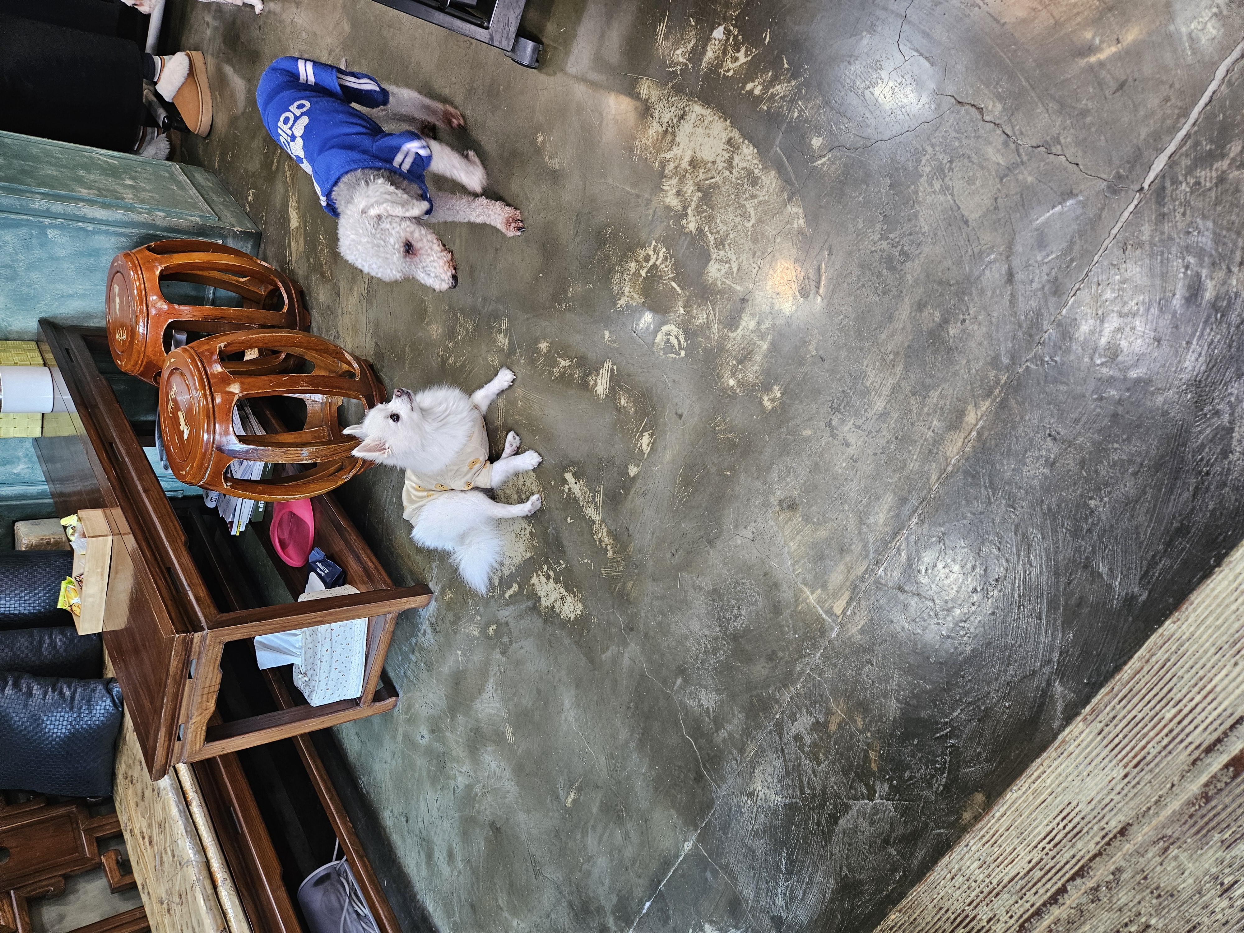 포옹이 잘있어요 친구 가게 놀러왔습니다