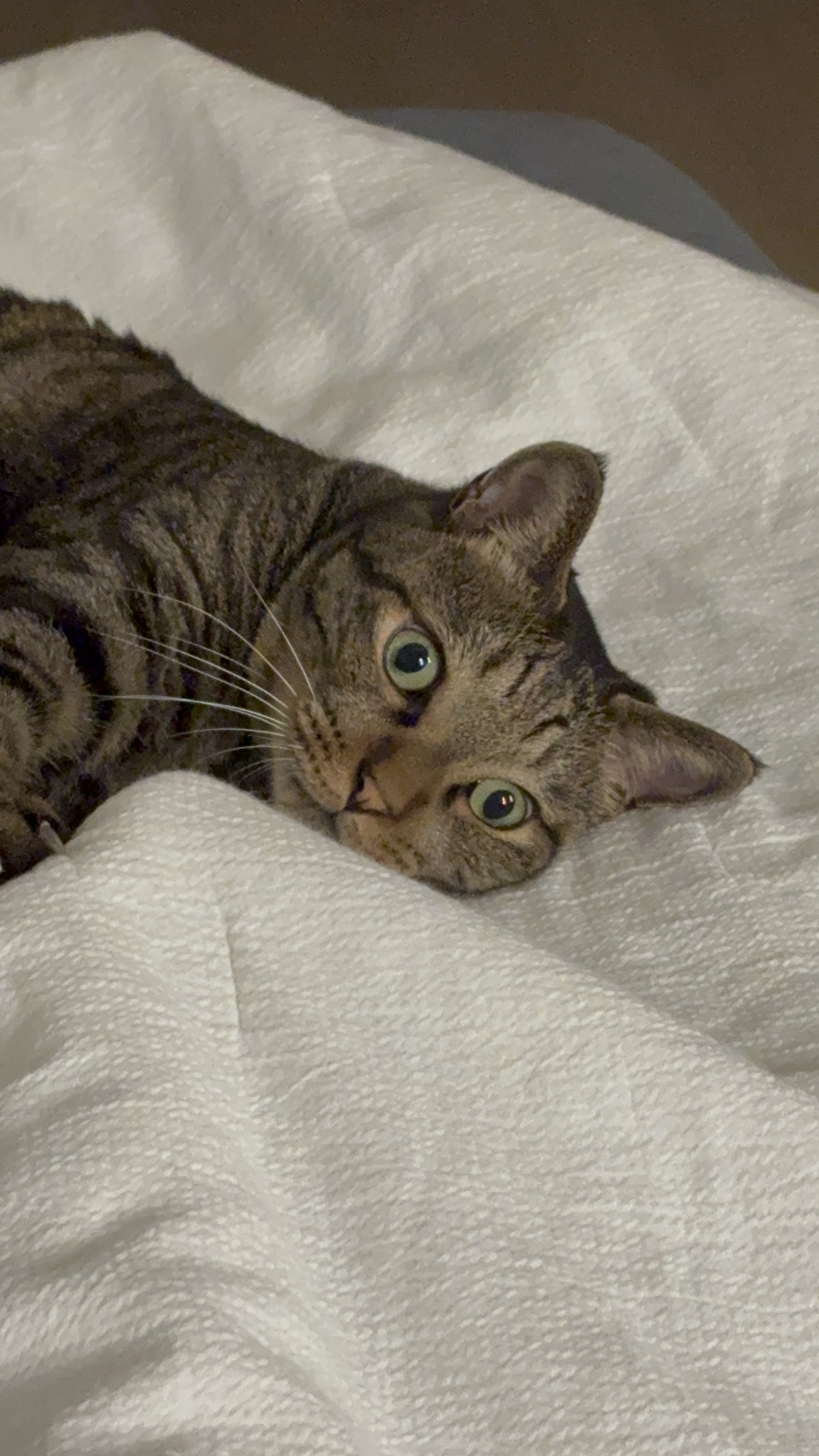 망덕이와 5주년