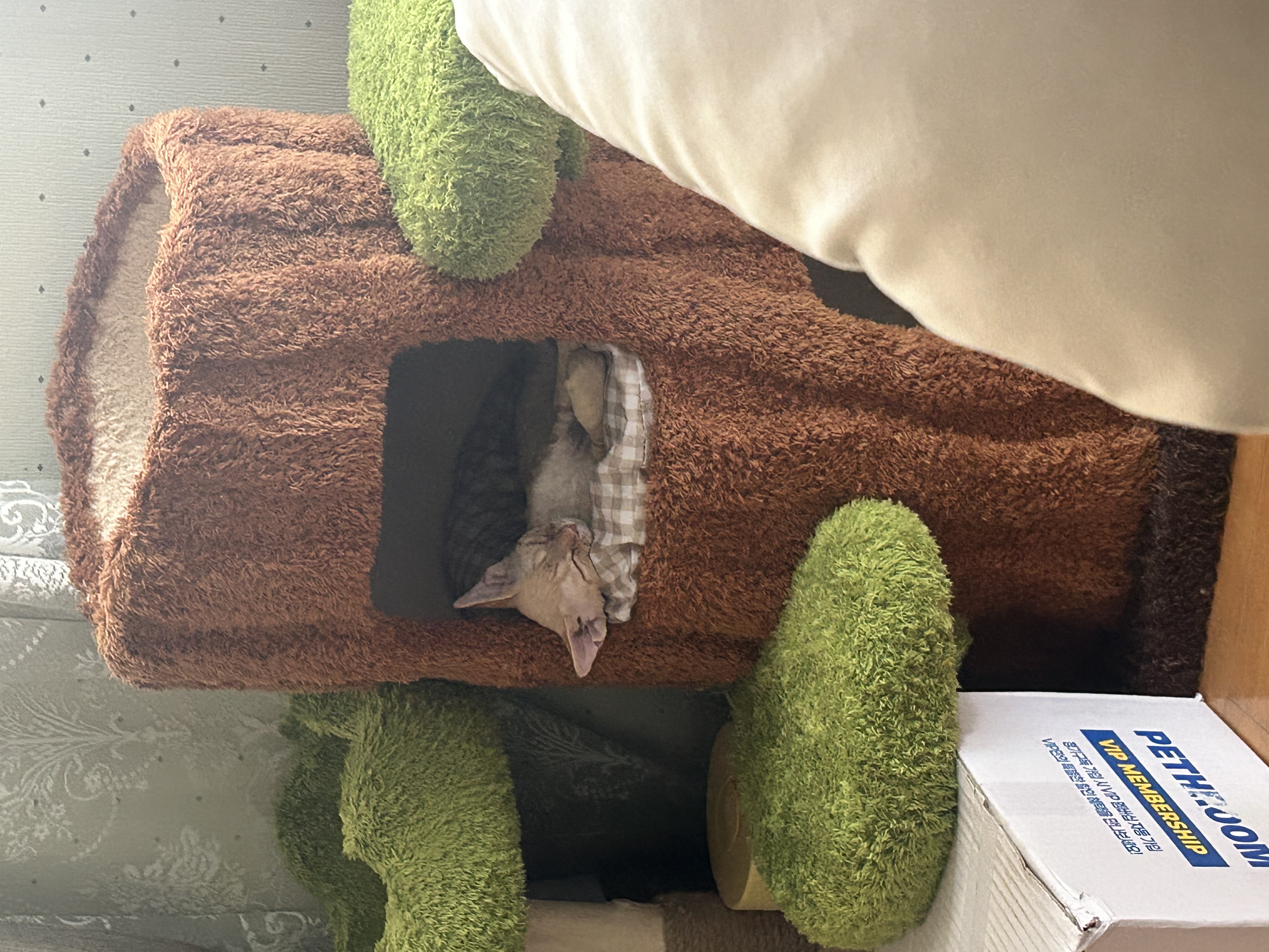 복만이 (던노)와의 한달!