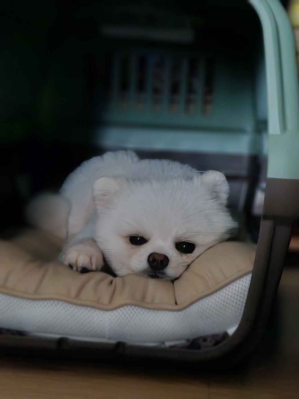 나루(구 빙봉) 한달차 후기