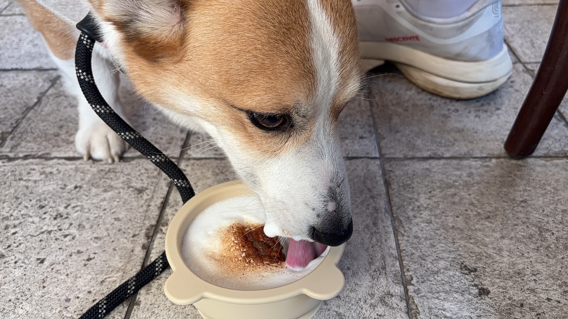 무티(구.수코) 2년차 근황