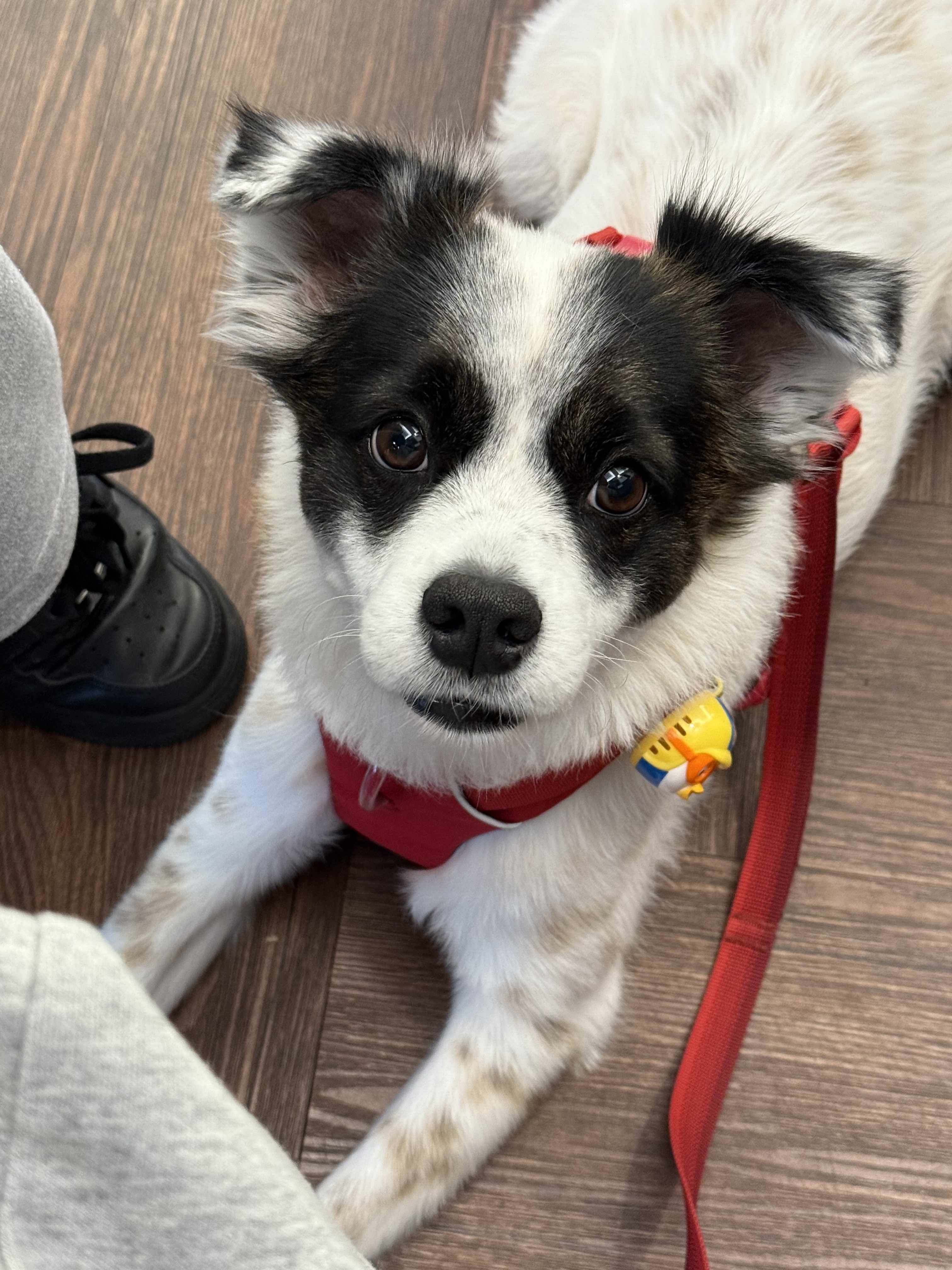 레오(오래) 잘 지내고 있어용