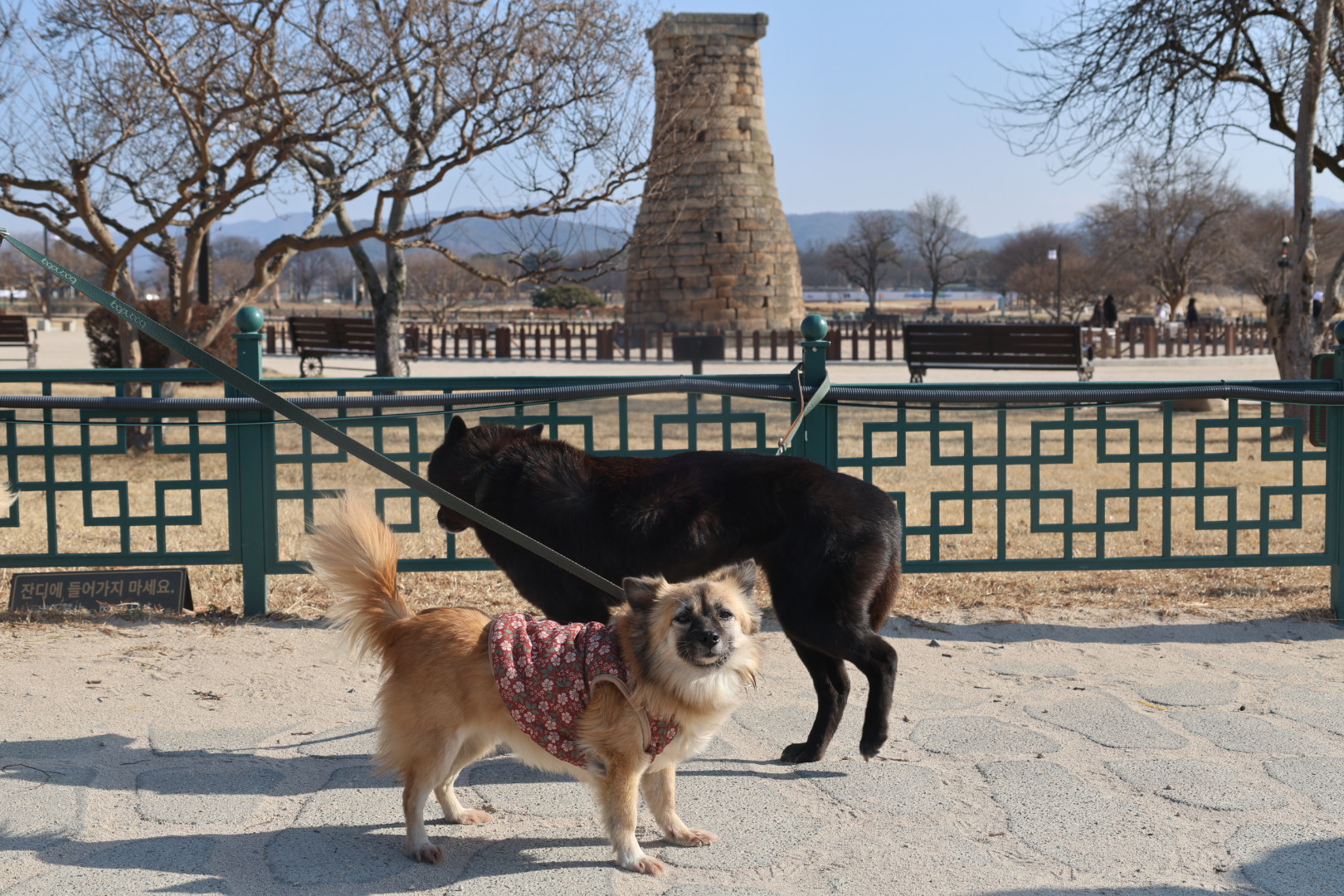 반달이 케일이 경주여행