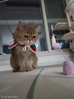 두두 (구 삼월이) 3개월 후기 🧡