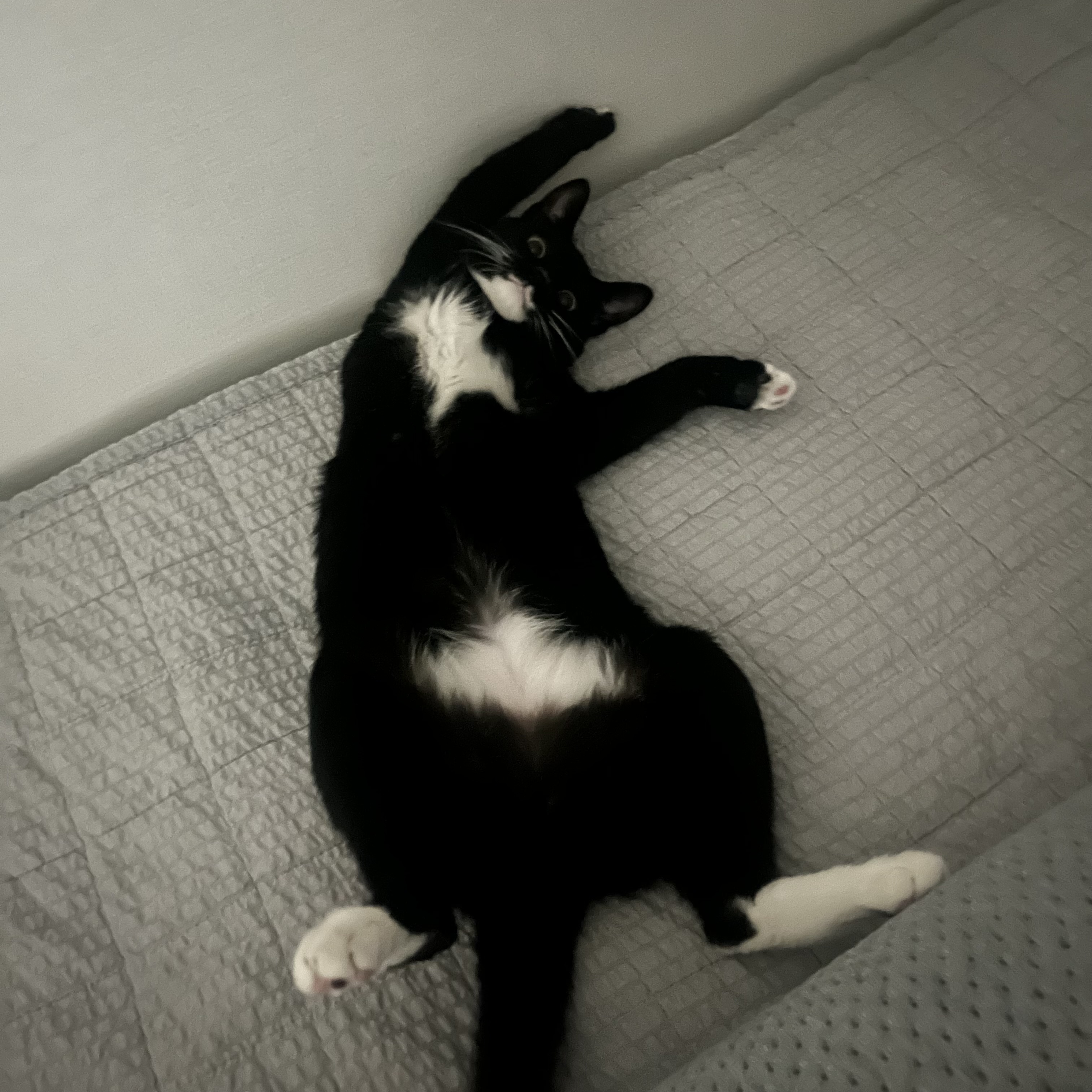 까미 1년차 후기