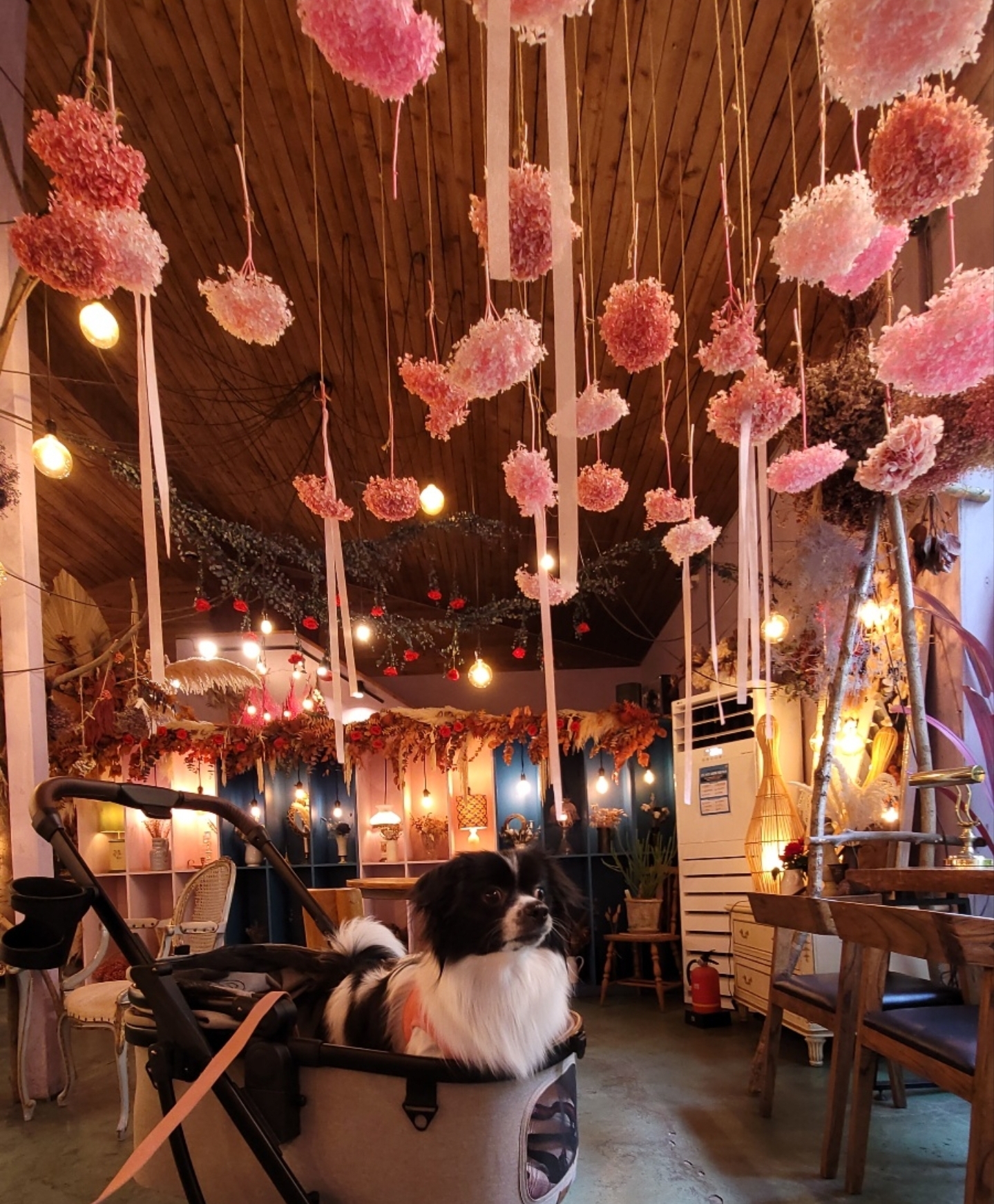 자이와 함께한 4년