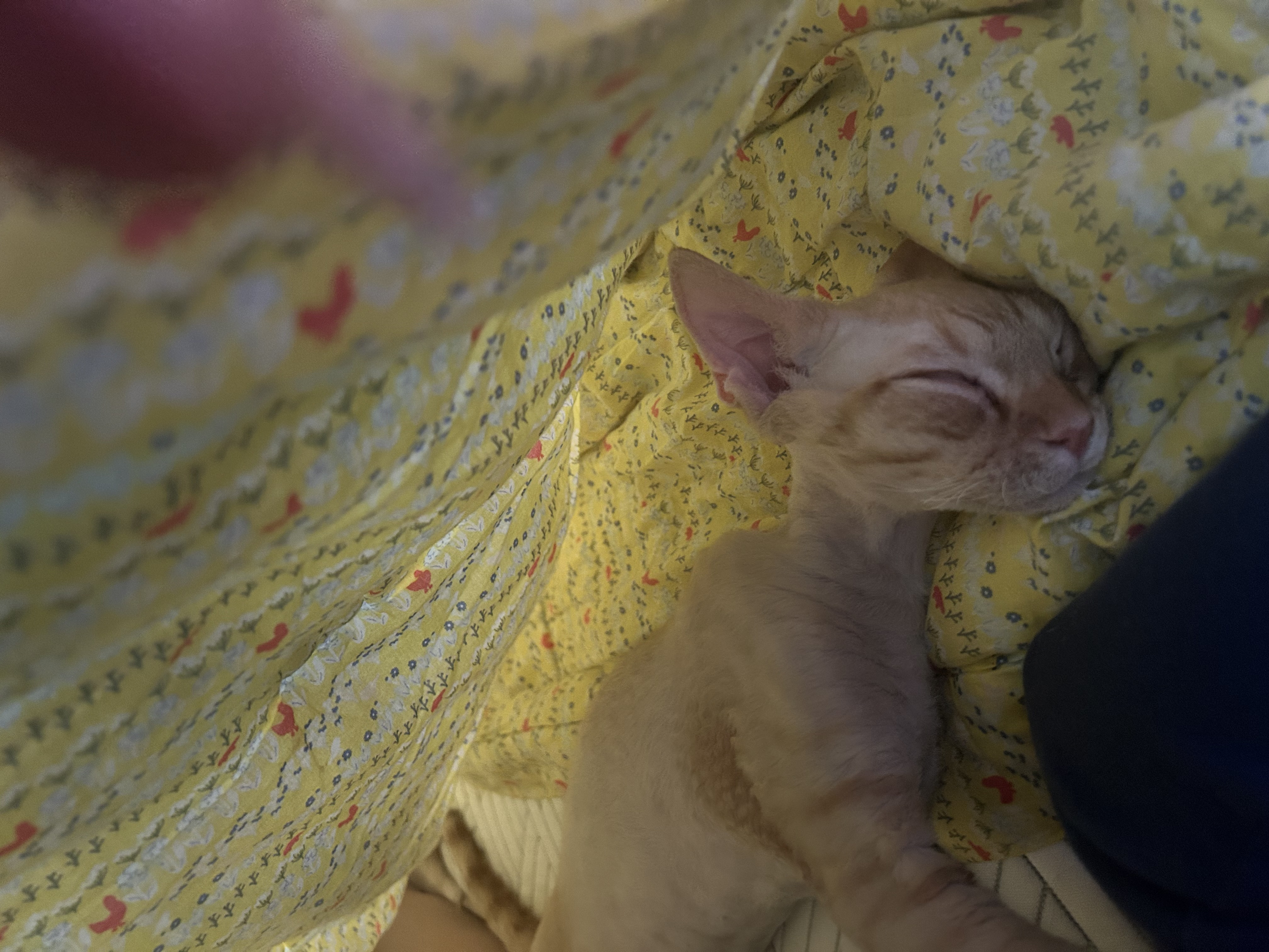 복만이(던노)가 막내가 된지 3개월🤭