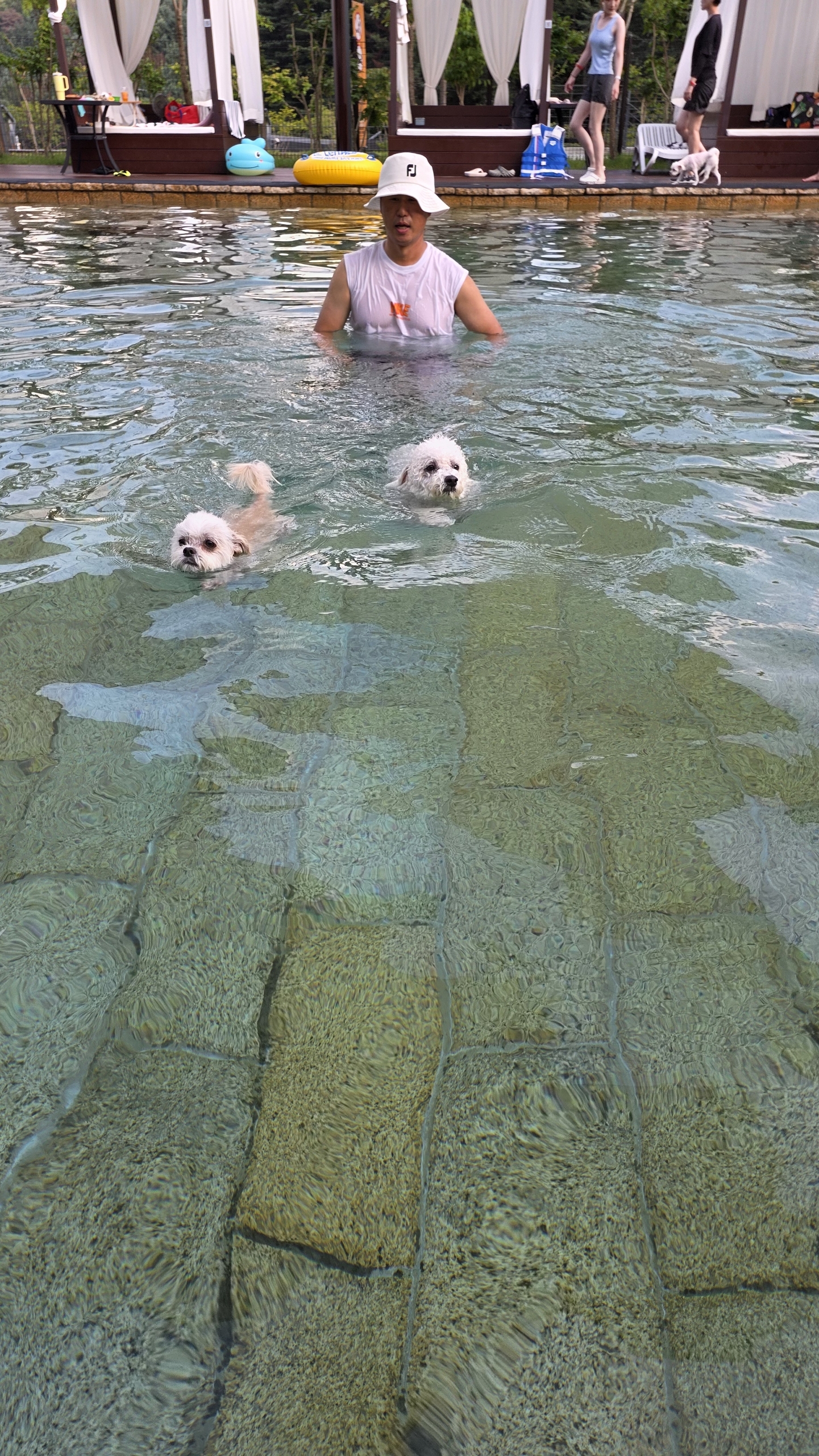 샤넬, 볼보 잘지내고 있어요~ ^^