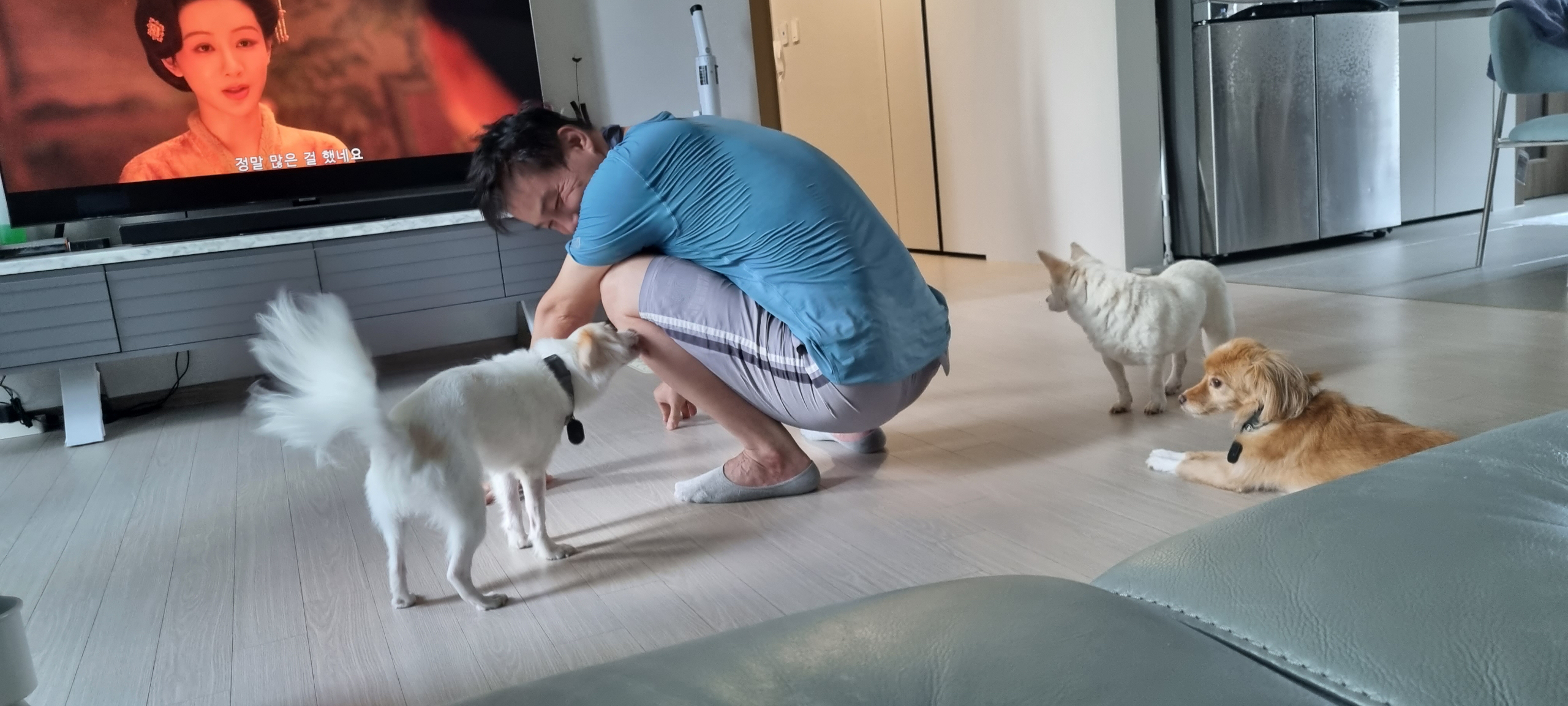 리코, 담비(구.샛별이) 소식 올려요