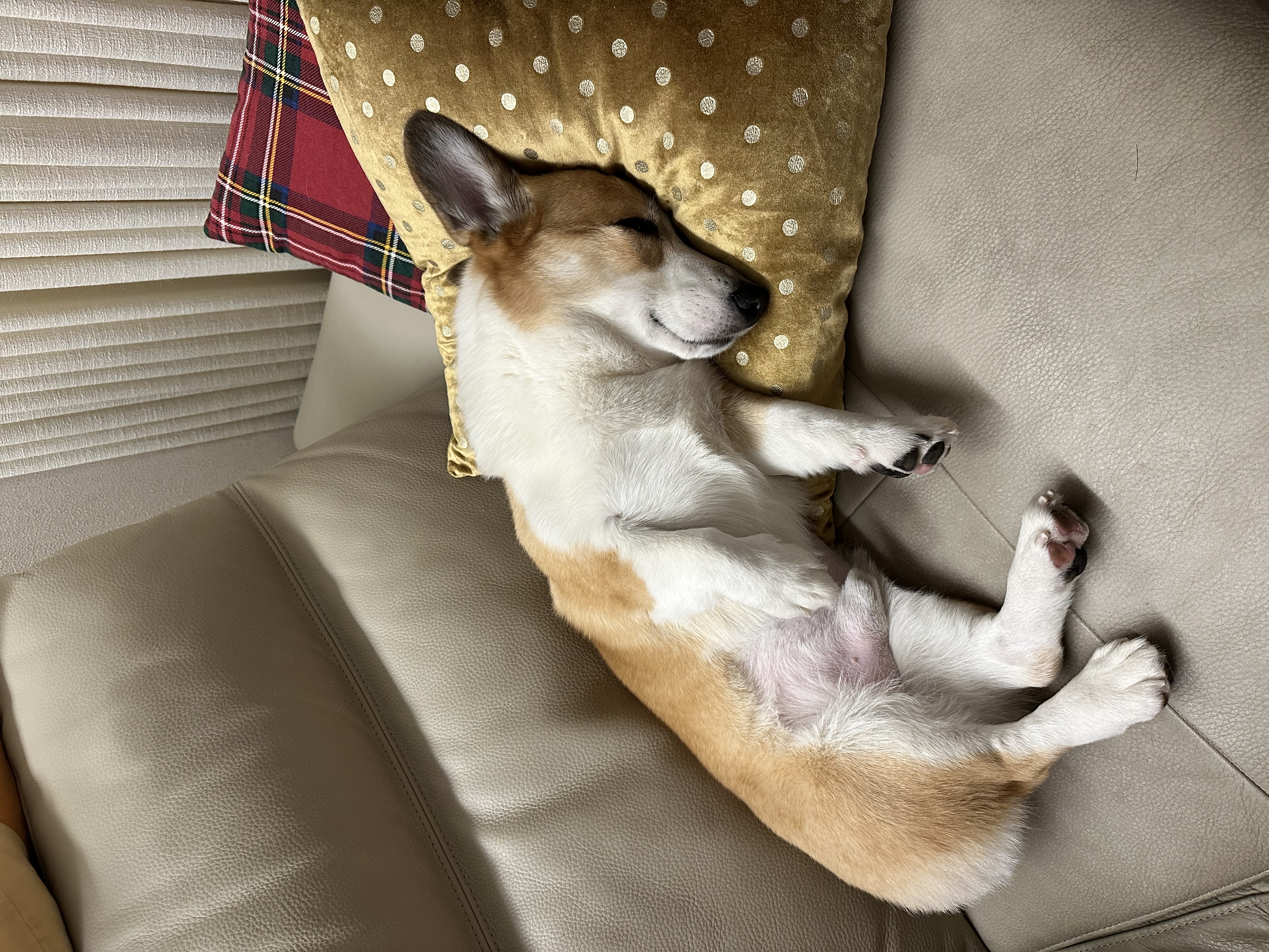 무티(구.수코) 2년차 근황