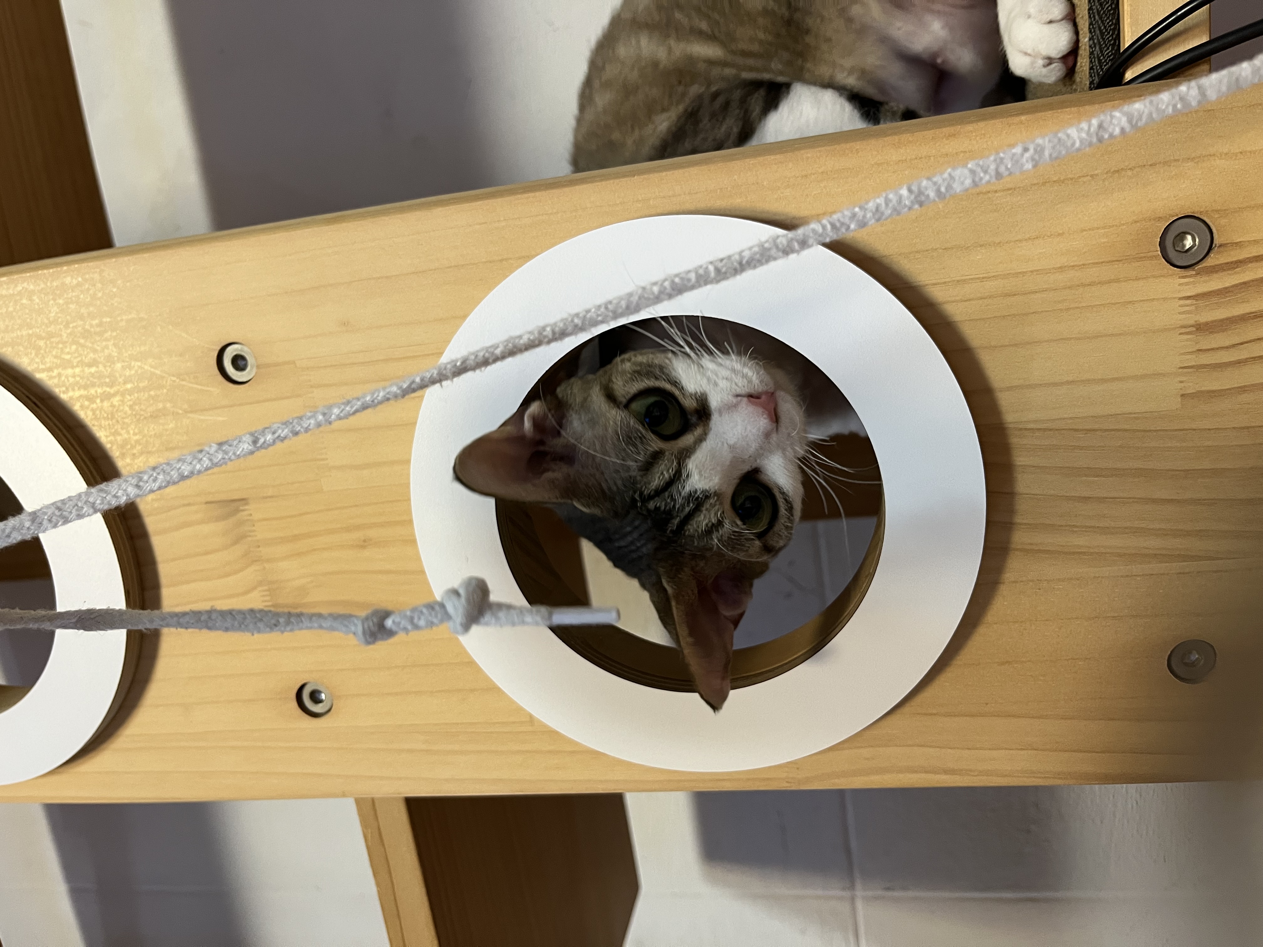 머루가 된 까까의 한달입니다