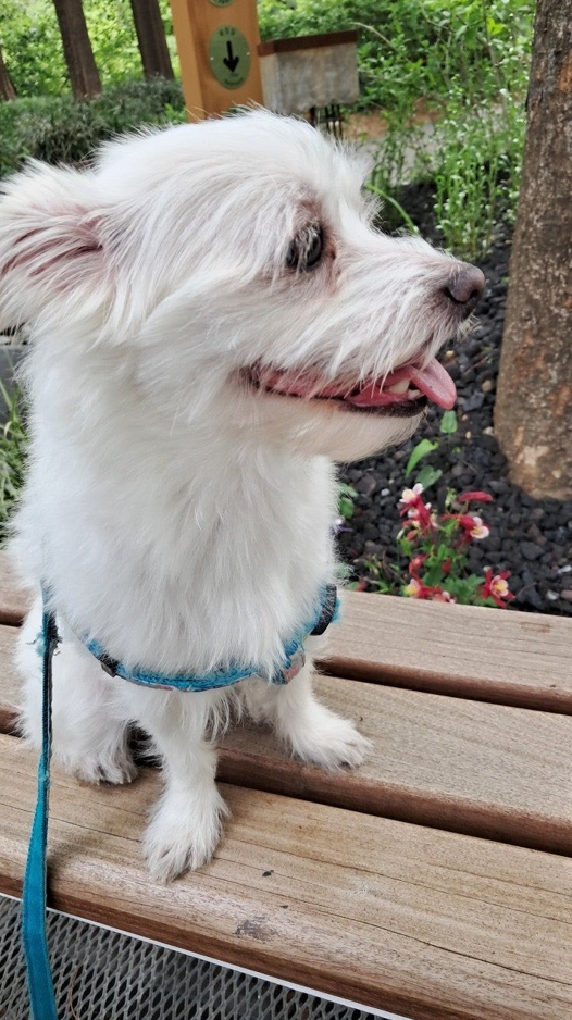 이브(원투) 행복한 시간을 보내고있습니다.