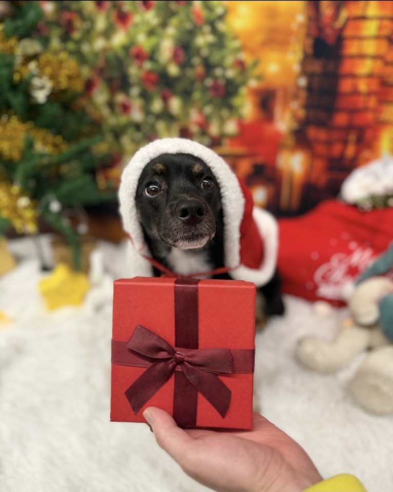 두양이 잘지내고 있습니다~