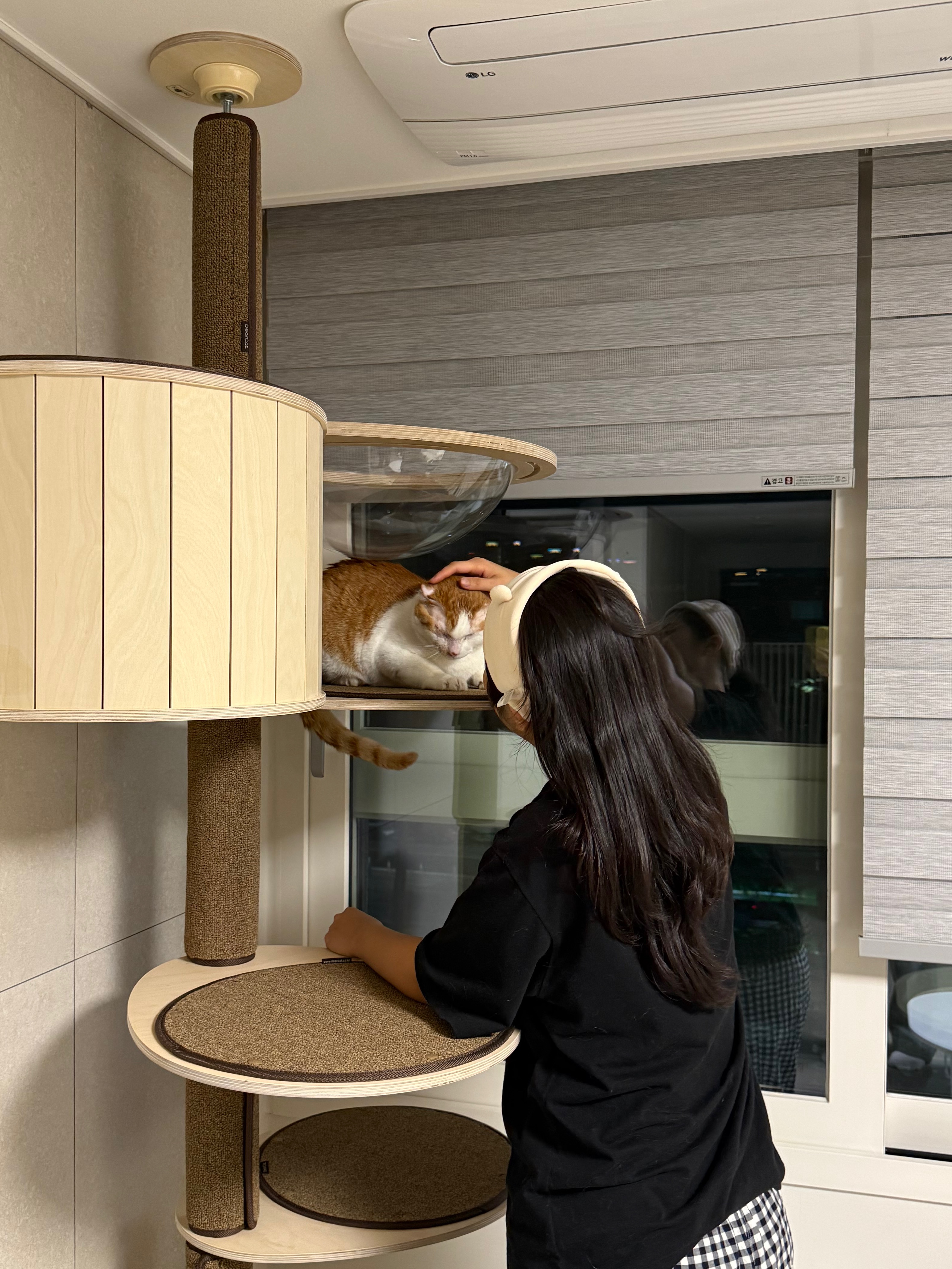 온샘이 입양 후기!