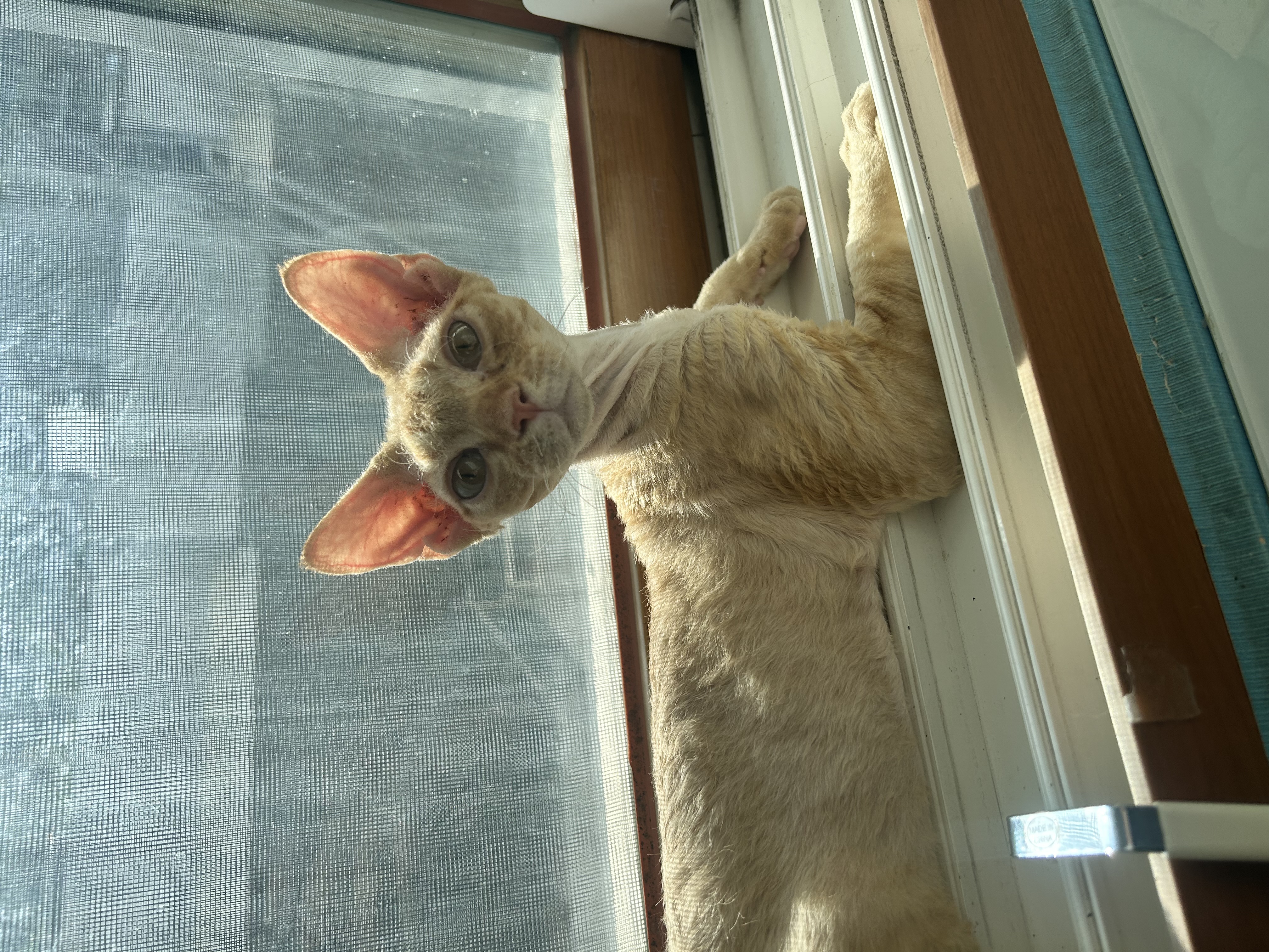 복만이(던노)가 막내가 된지 3개월🤭