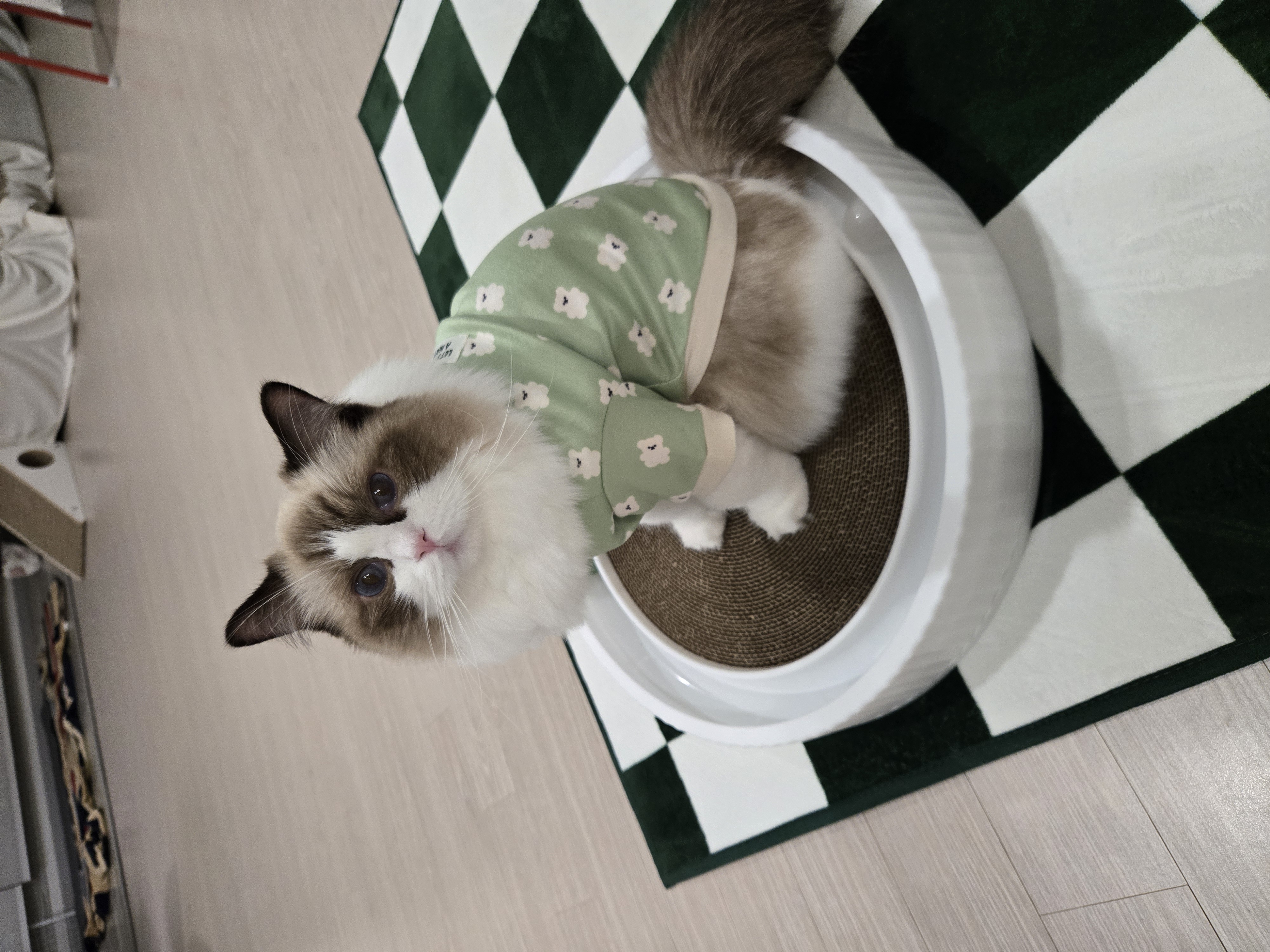 미야오(마시) 우리는 가족 : 3개월 차