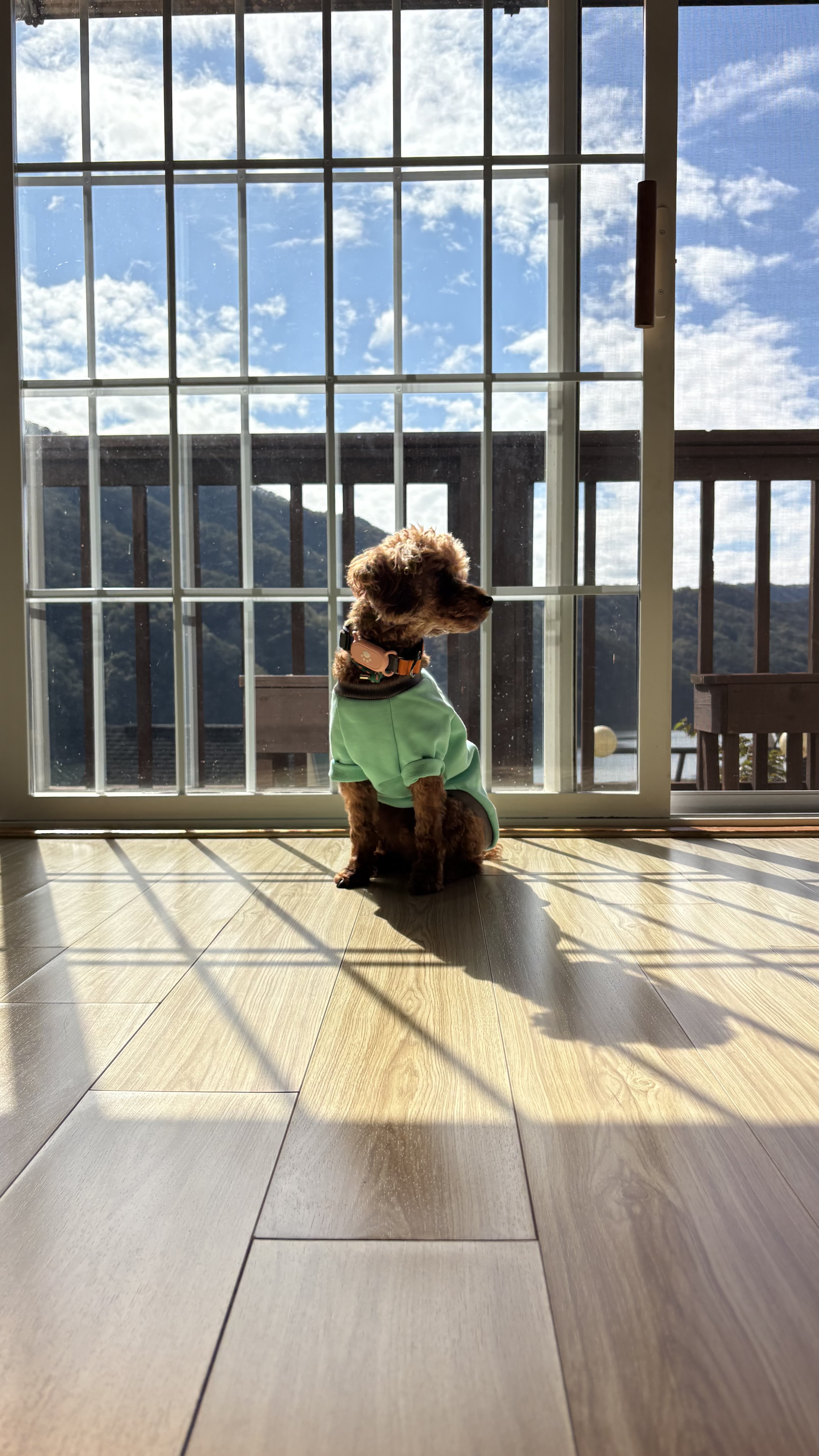 보사의 첫 가족여행~~