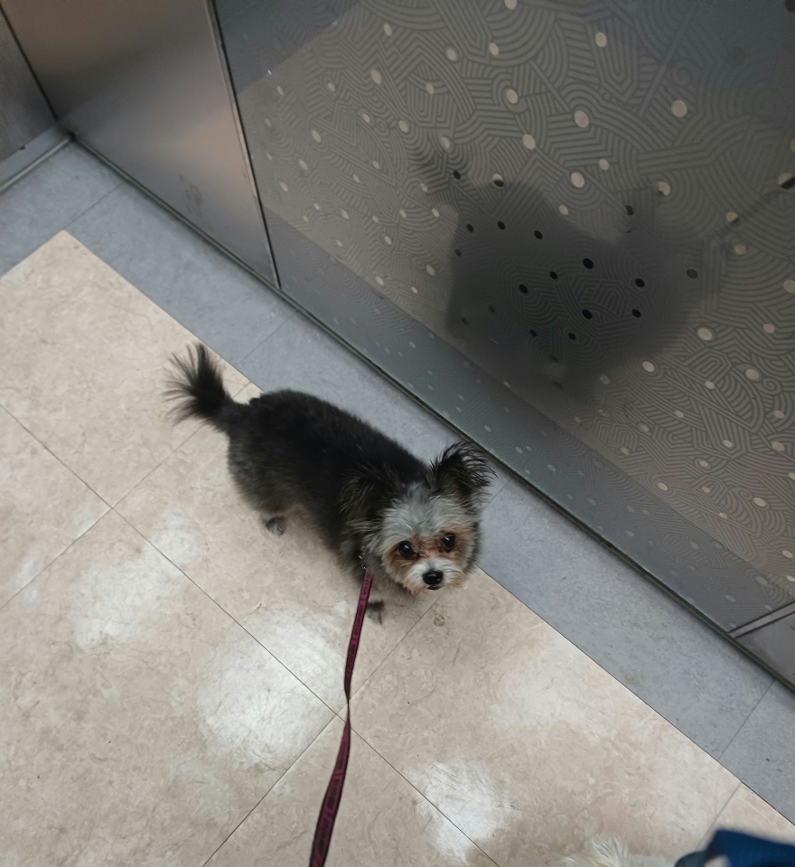 소피 잘지내고 있어요~