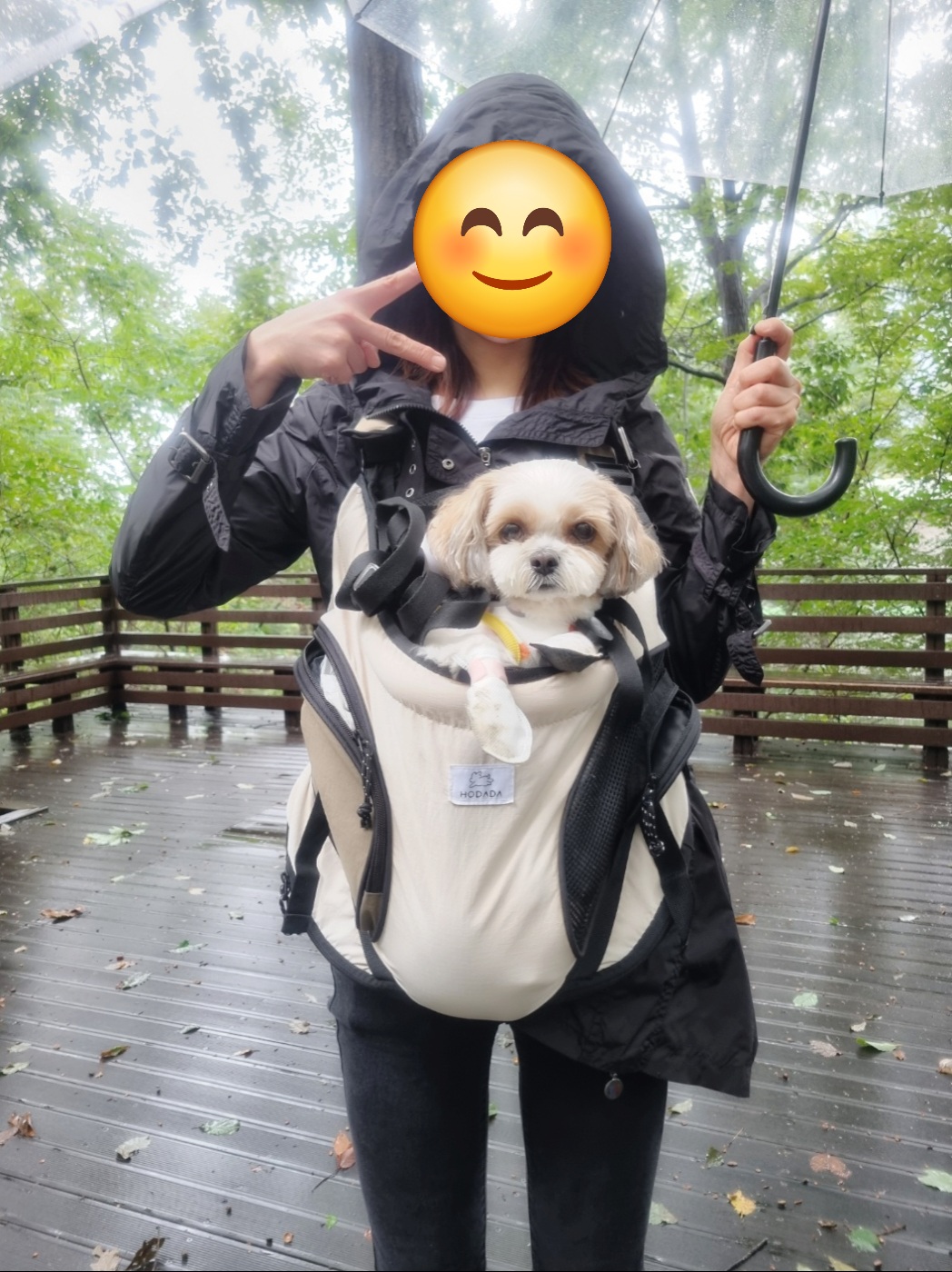 (에밀리_양구28) 튼튼이 이년차 후기